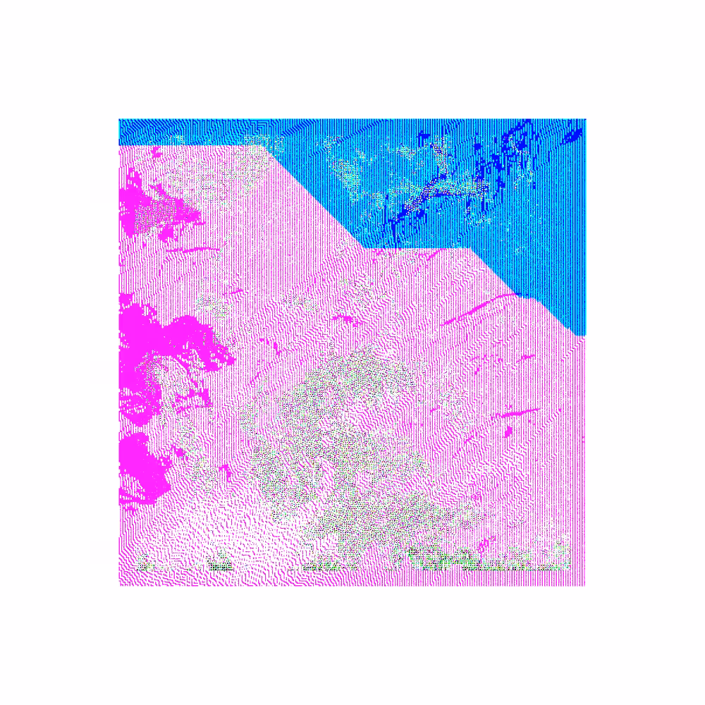 CHX-1 #217