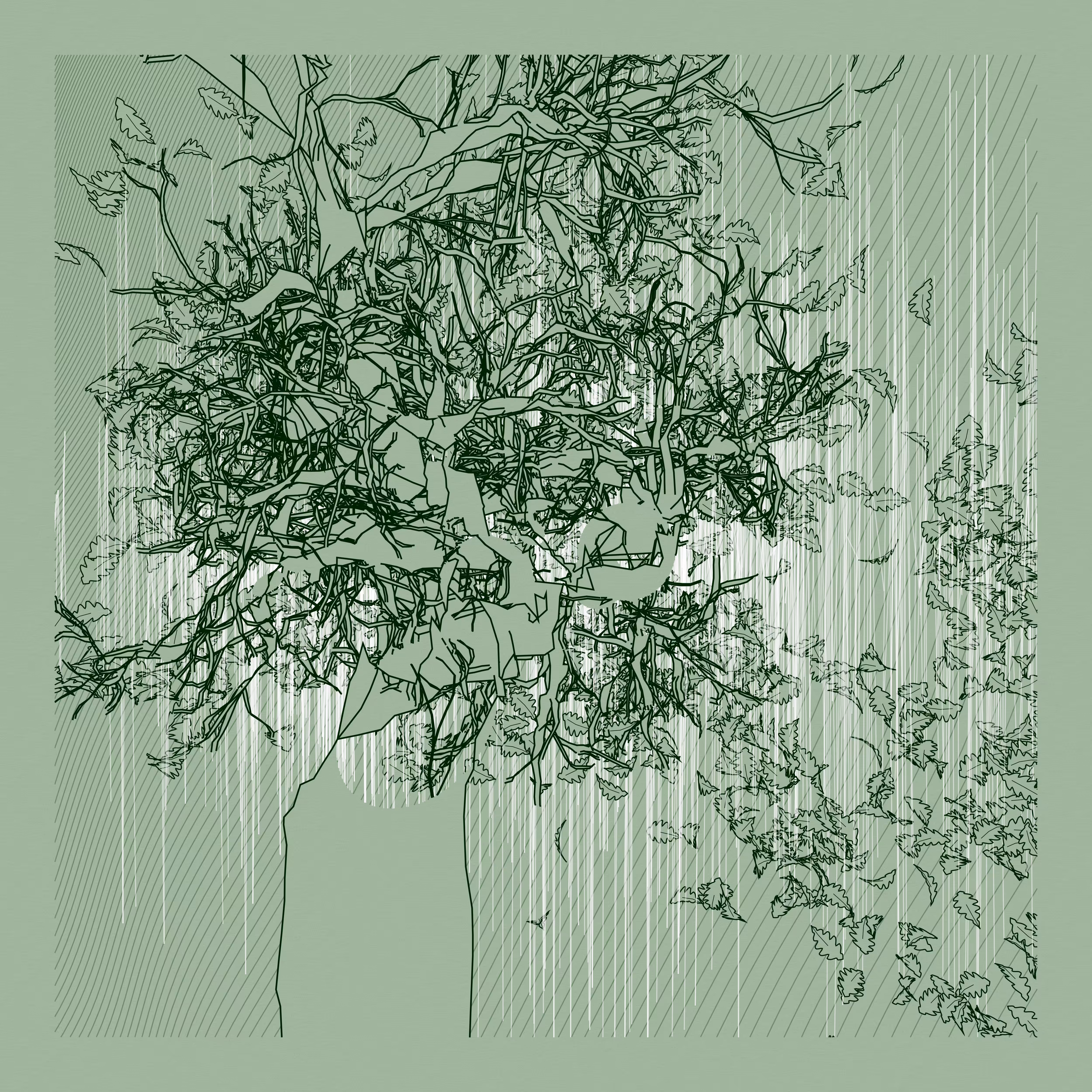 A Bugged Forest #563