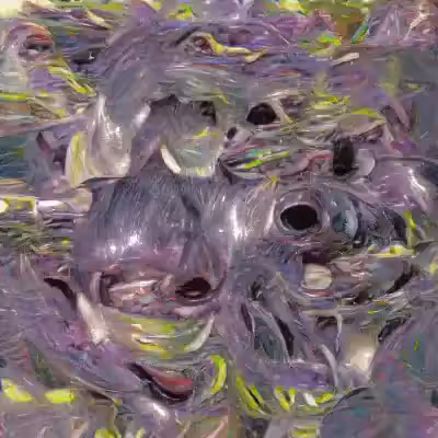 Inside of blackholes