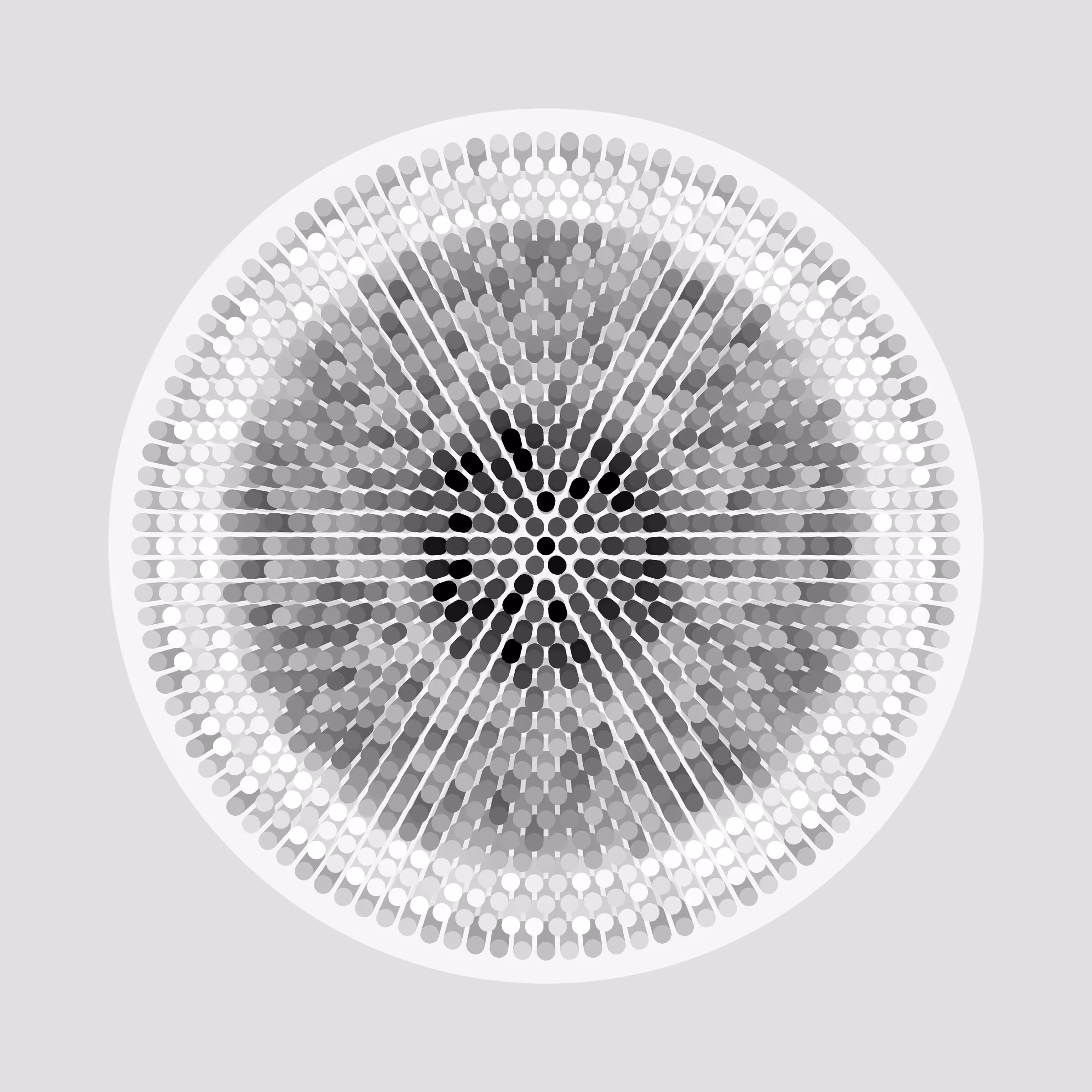 Transitions #2094