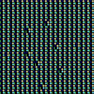 CGA Safari #151