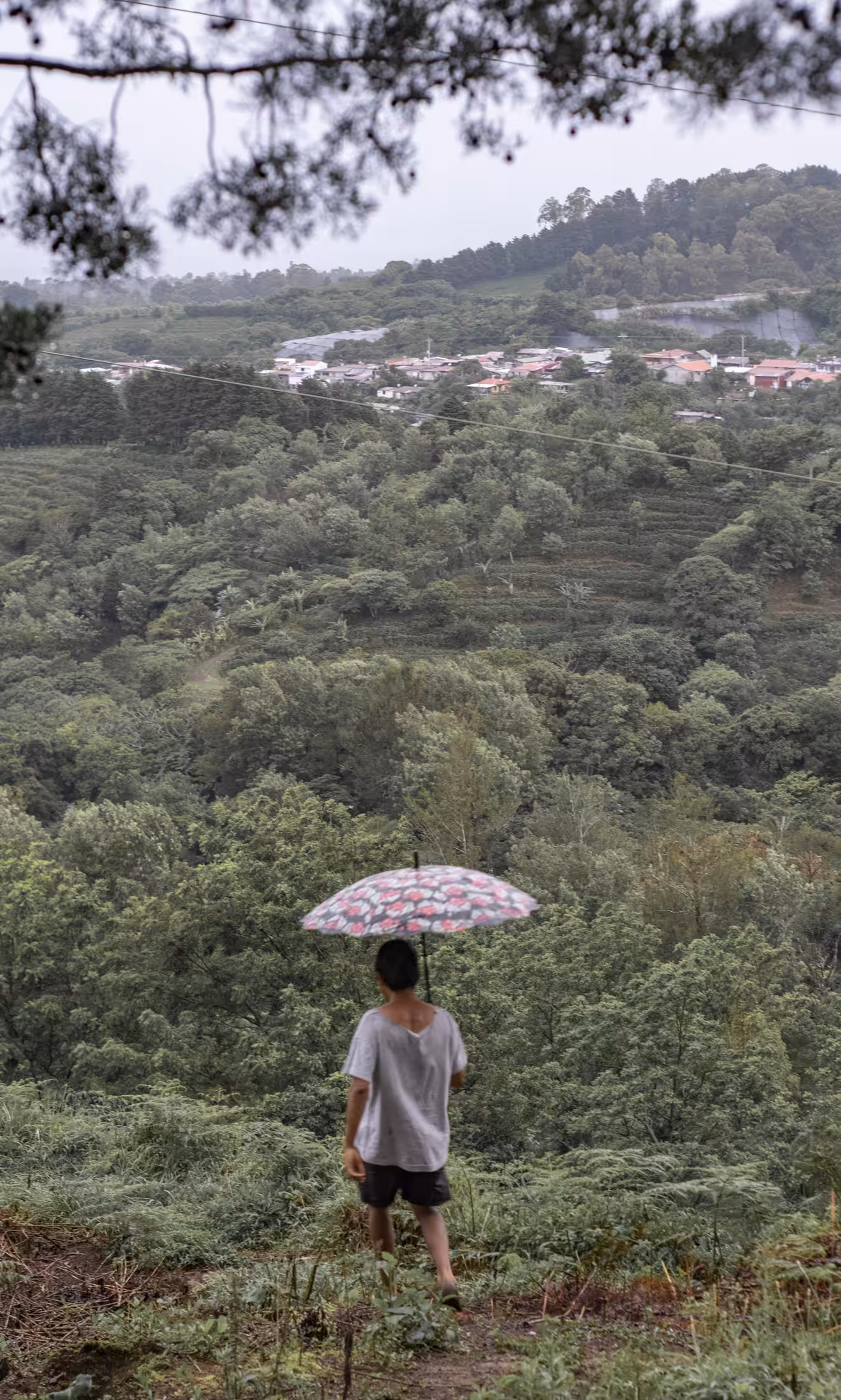 Postcards from Costa Rica