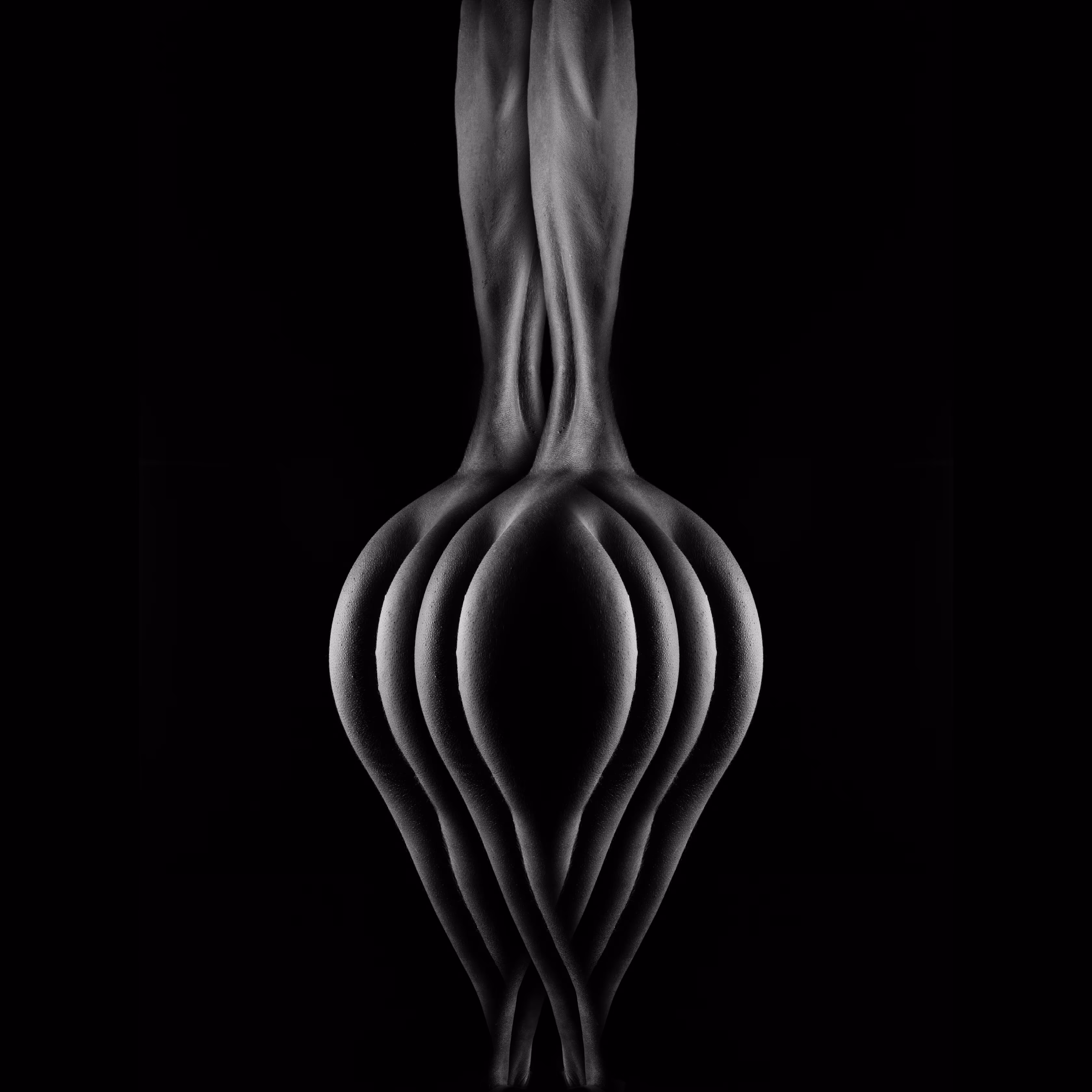 Fork Study