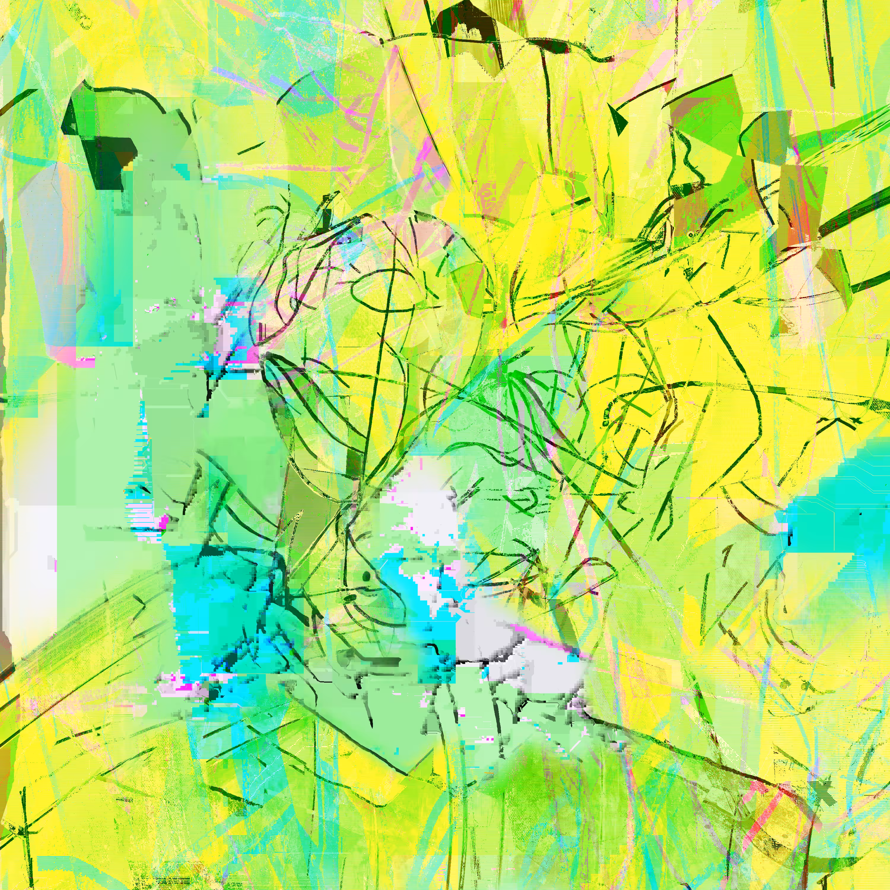 reprojection