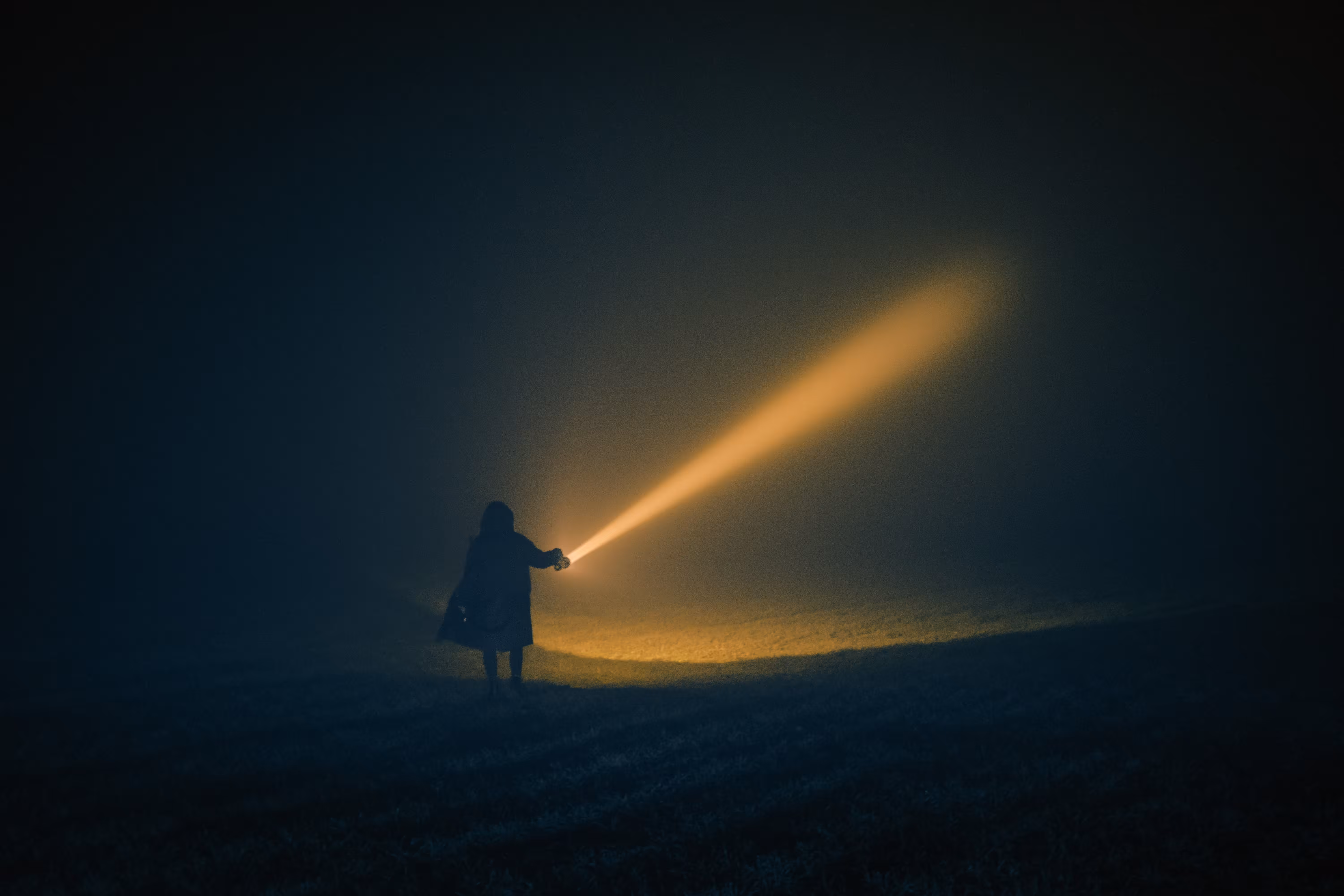 The Search
