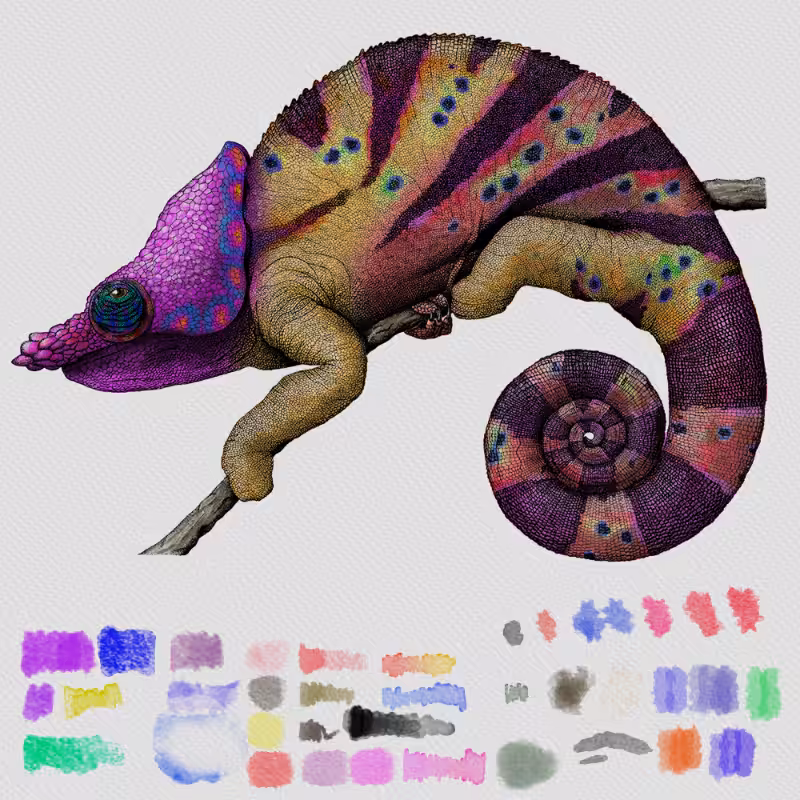 Colorful Cameleon #13