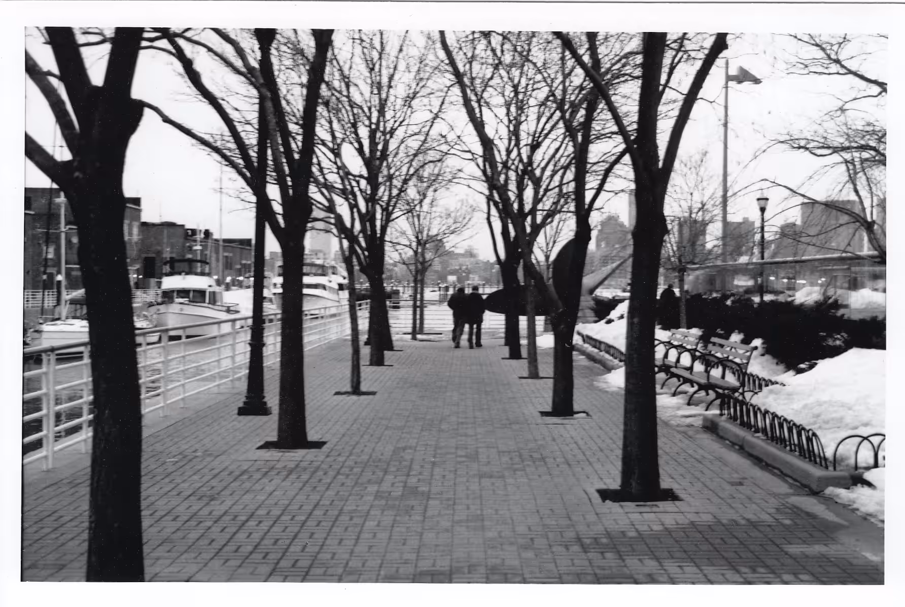 Walk in the park