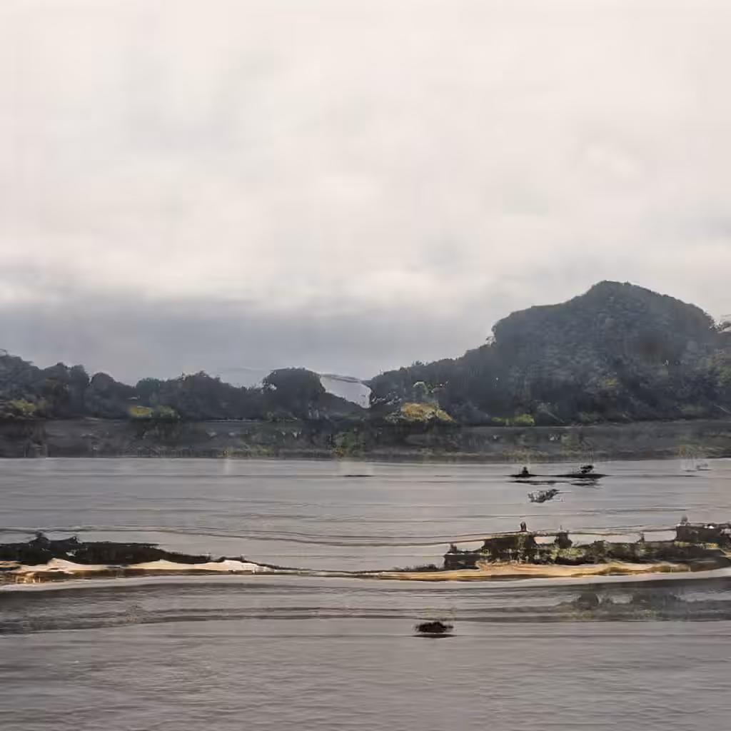 Mekong delta