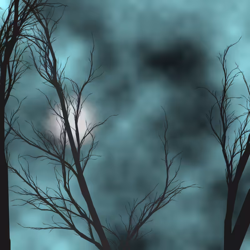 Through the night #57
