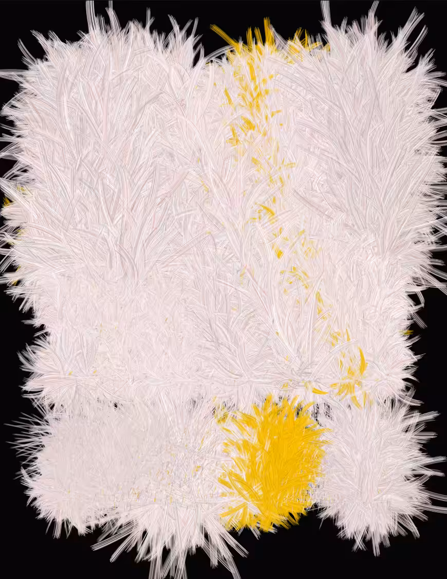 disorientation #307
