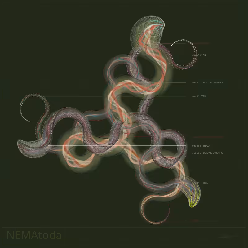 NEMA #18