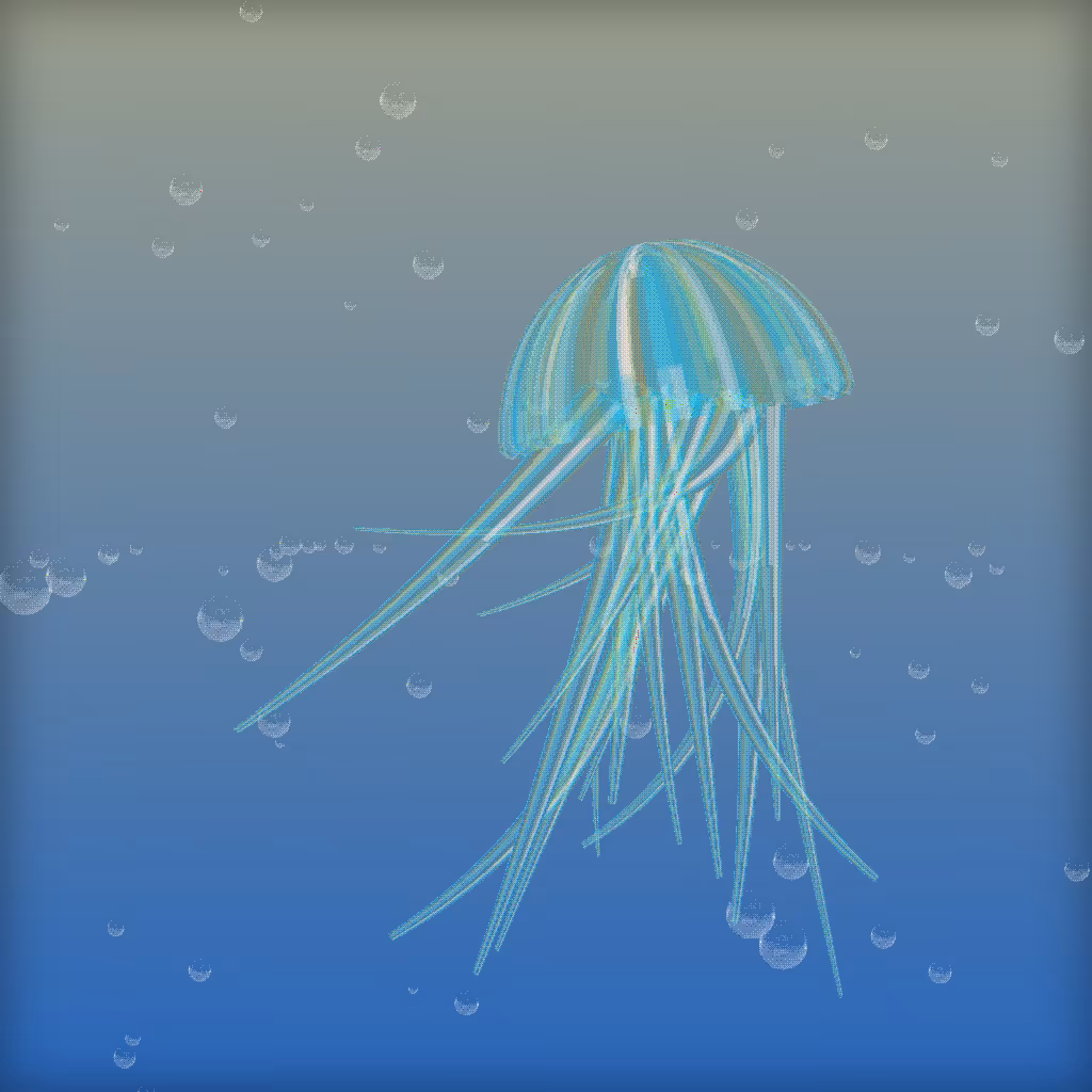 Jellyfish #6