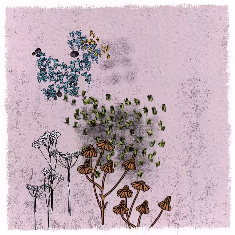 Gardens  #36