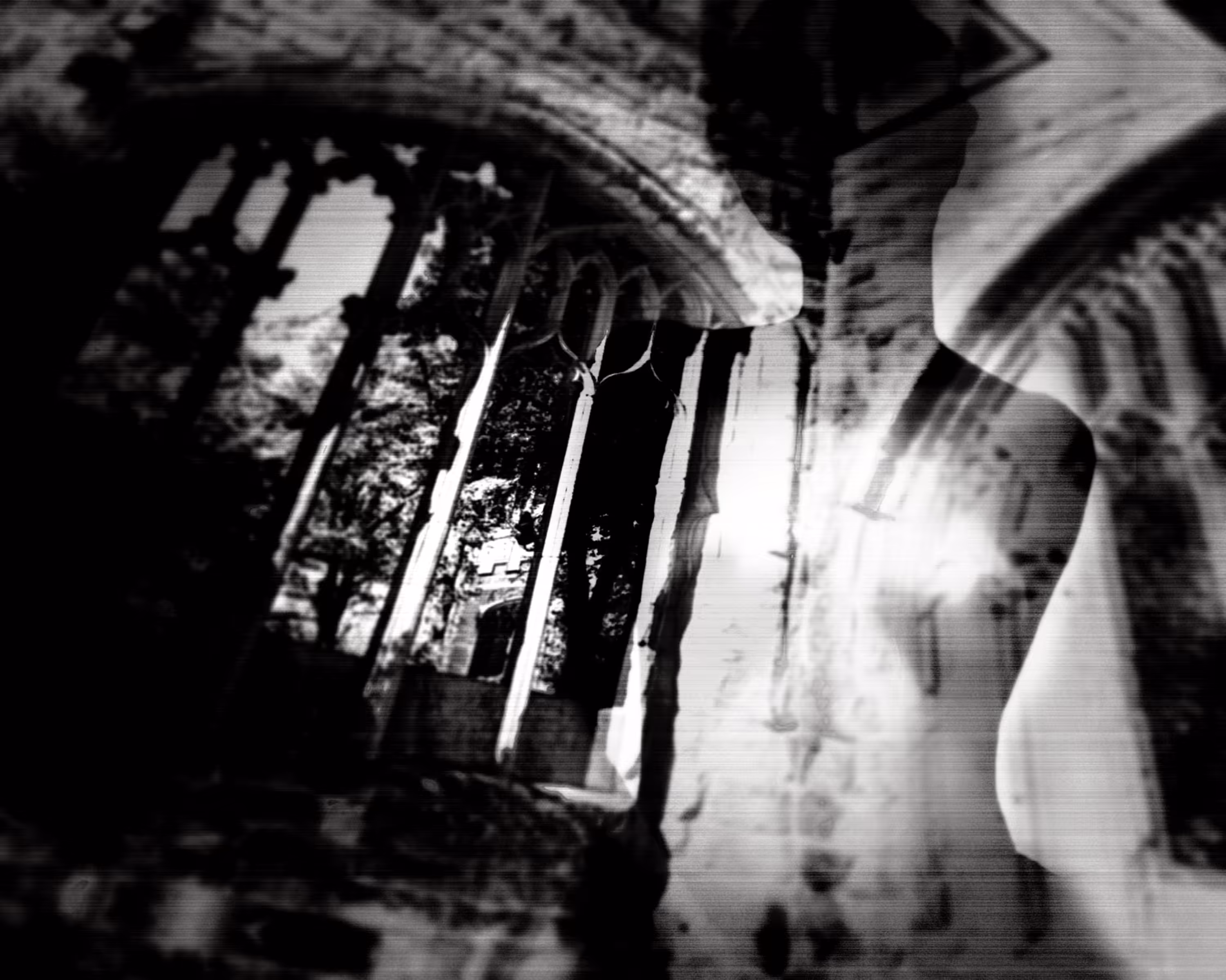 A night at the cathedral