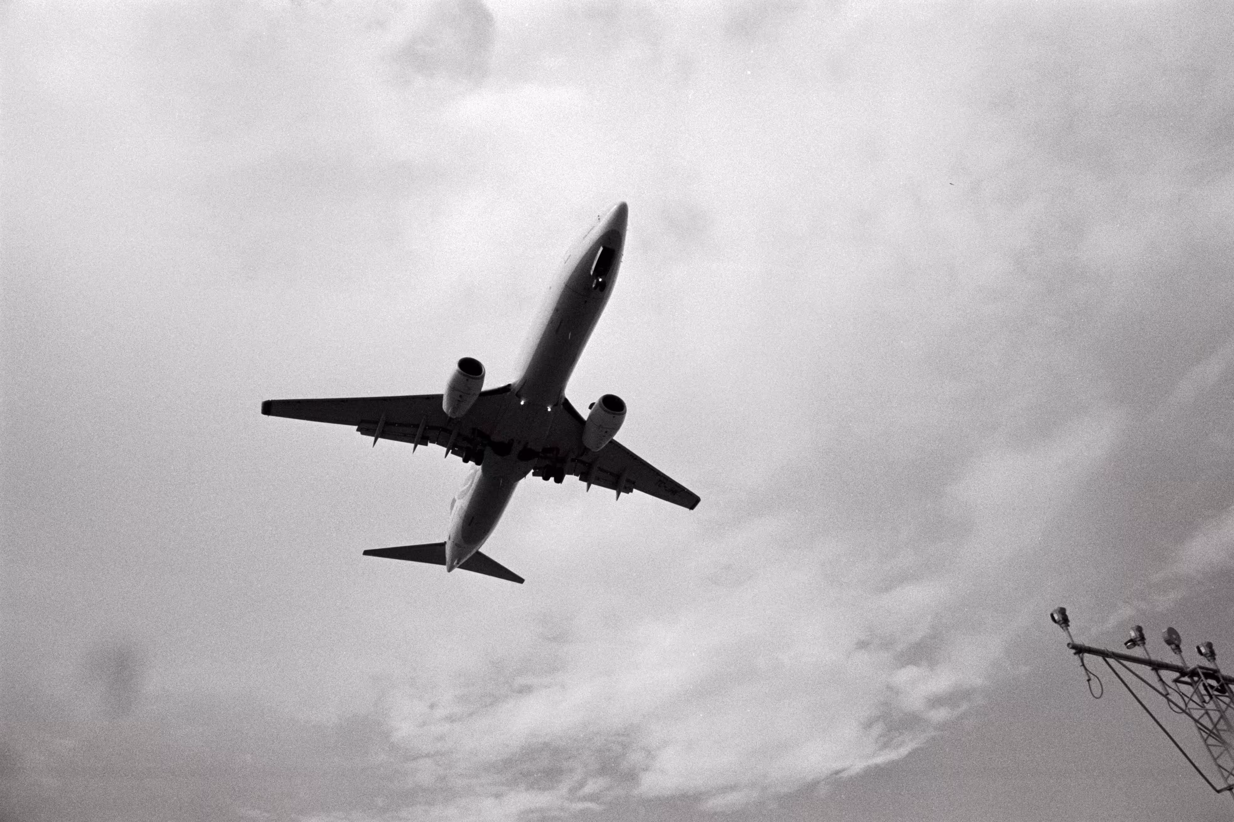 fly