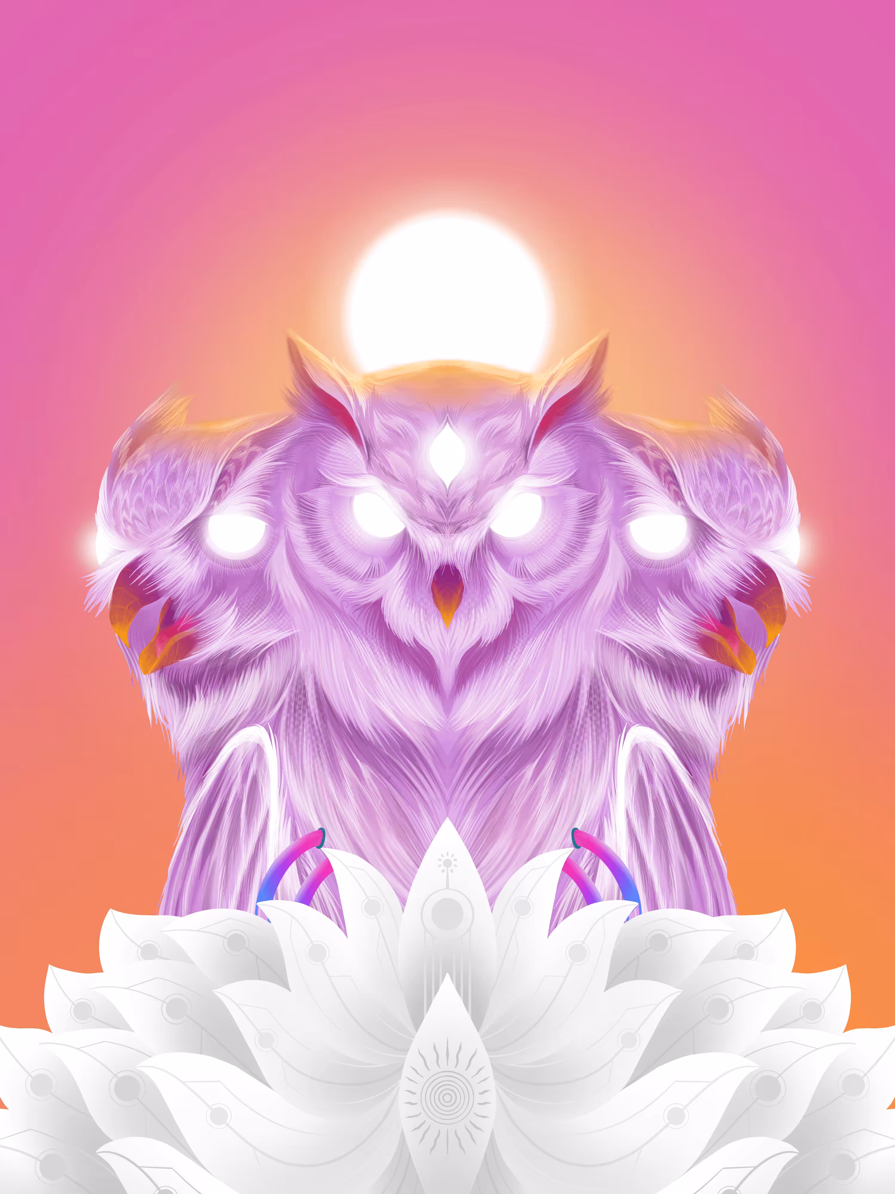 Owl | The Knowledge
