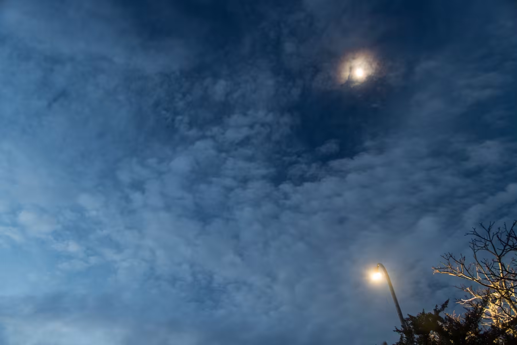 a fickle light #7