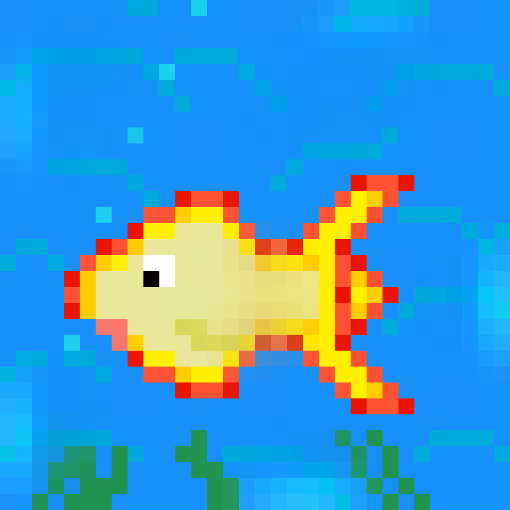 Pixie fish 1