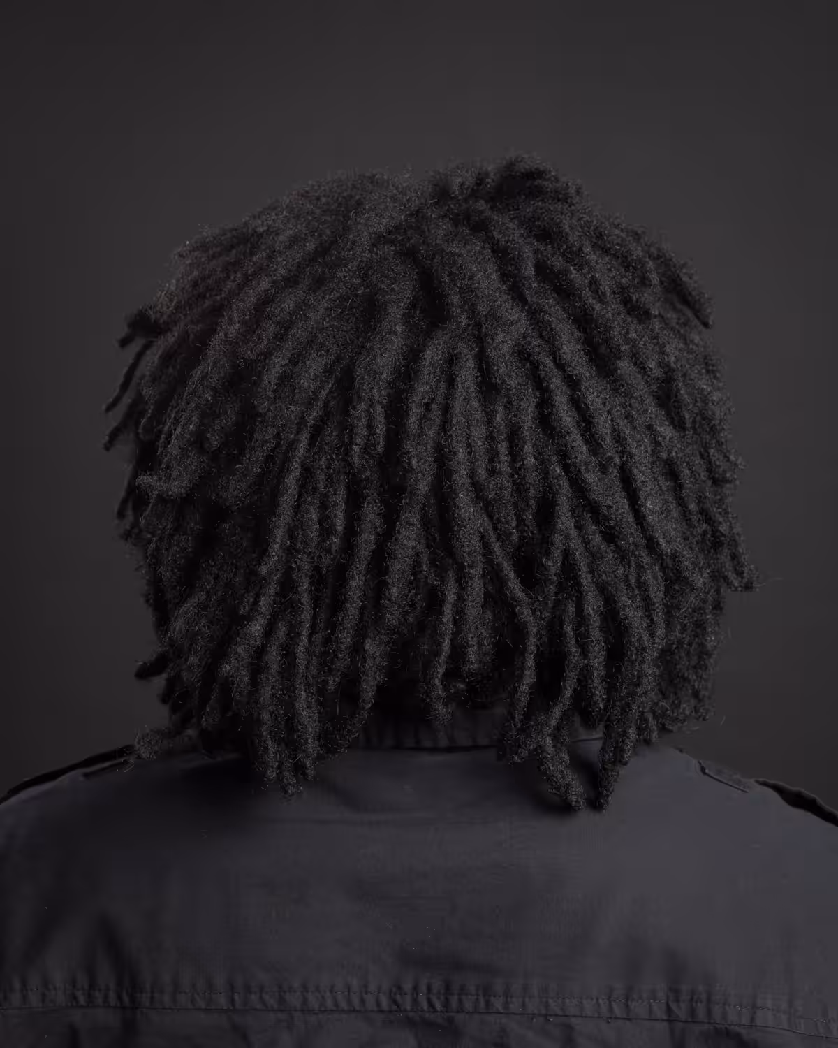 The Artist, 2014
