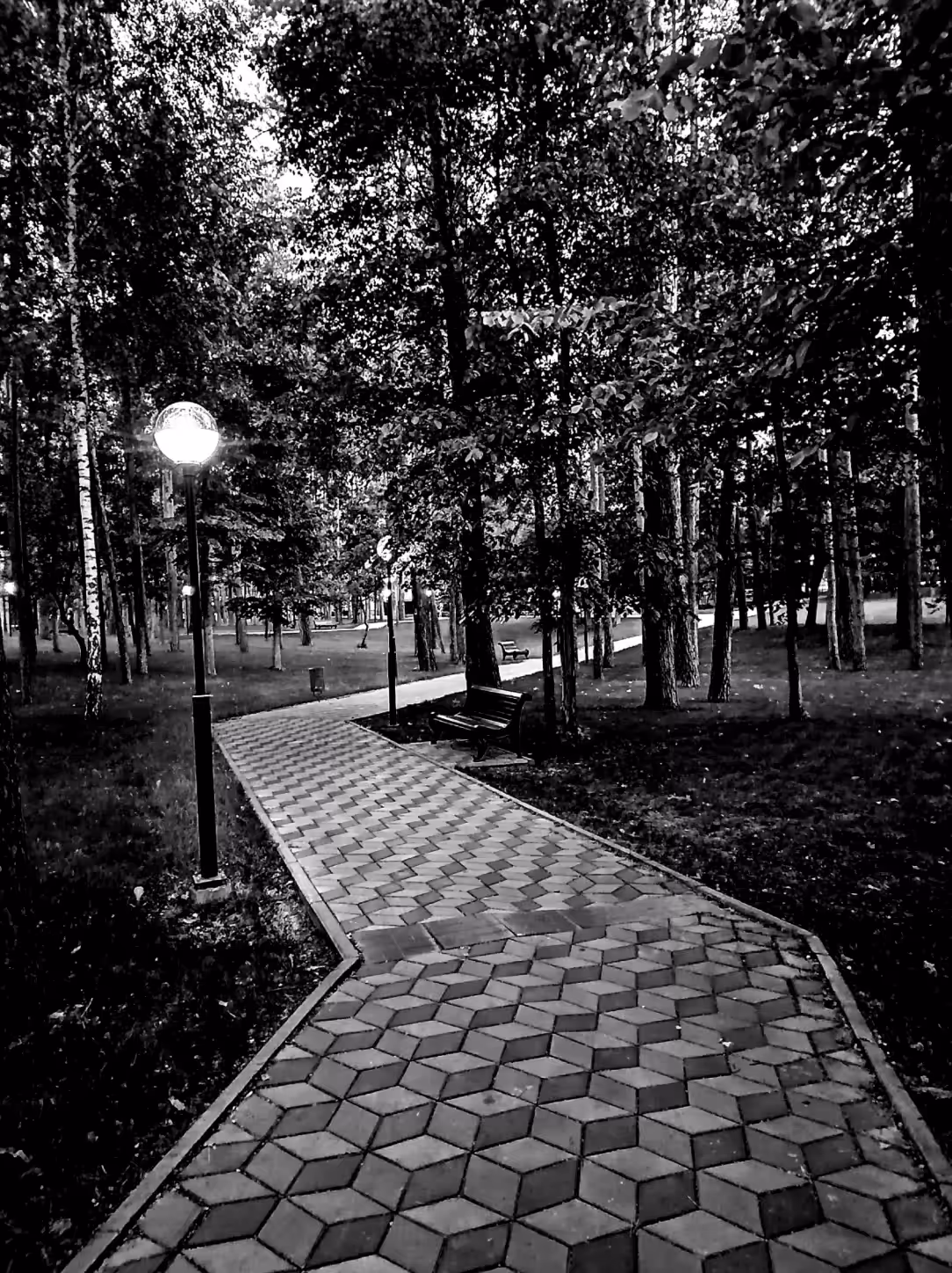 In the evening
