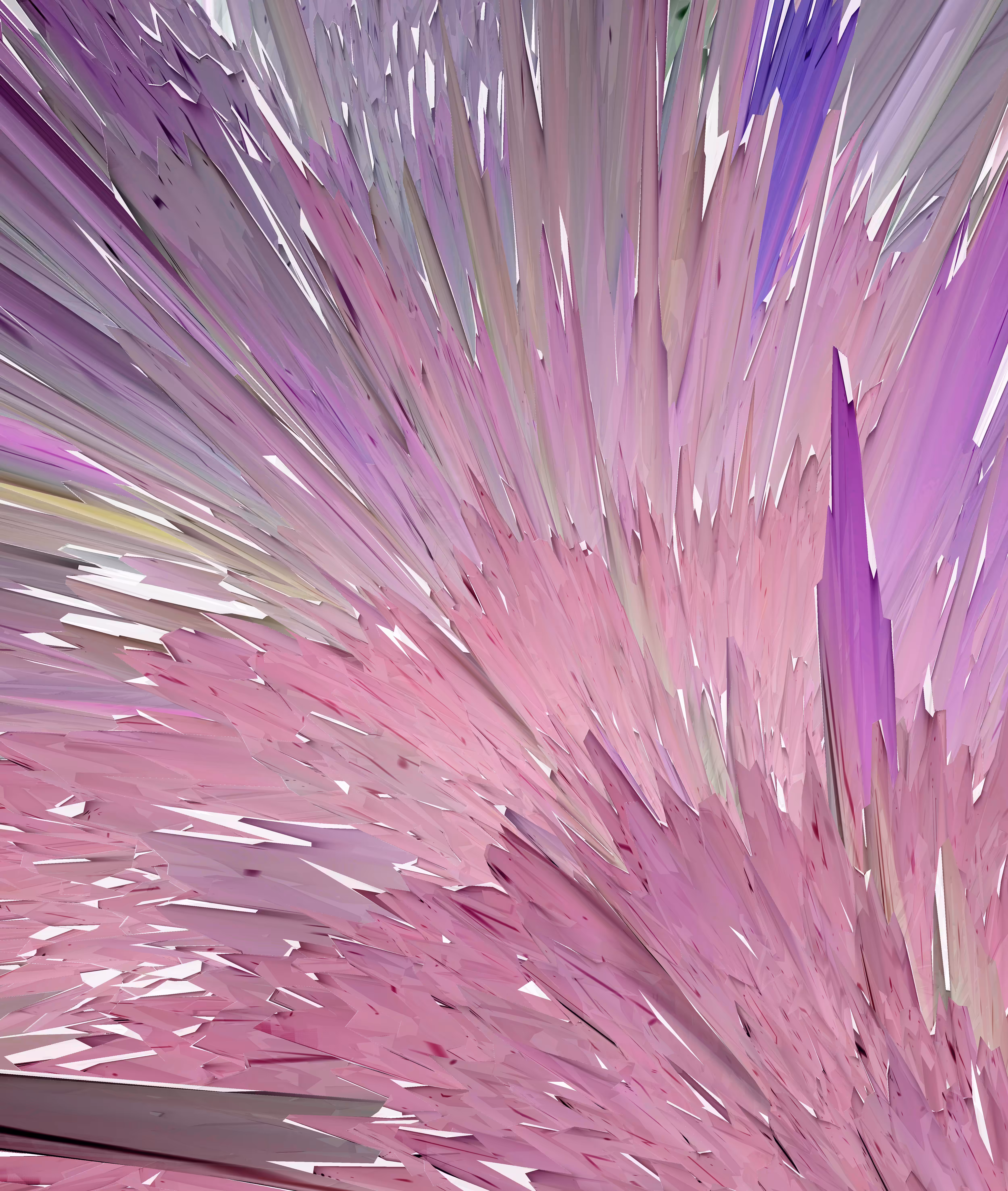 Feathers II/XIV