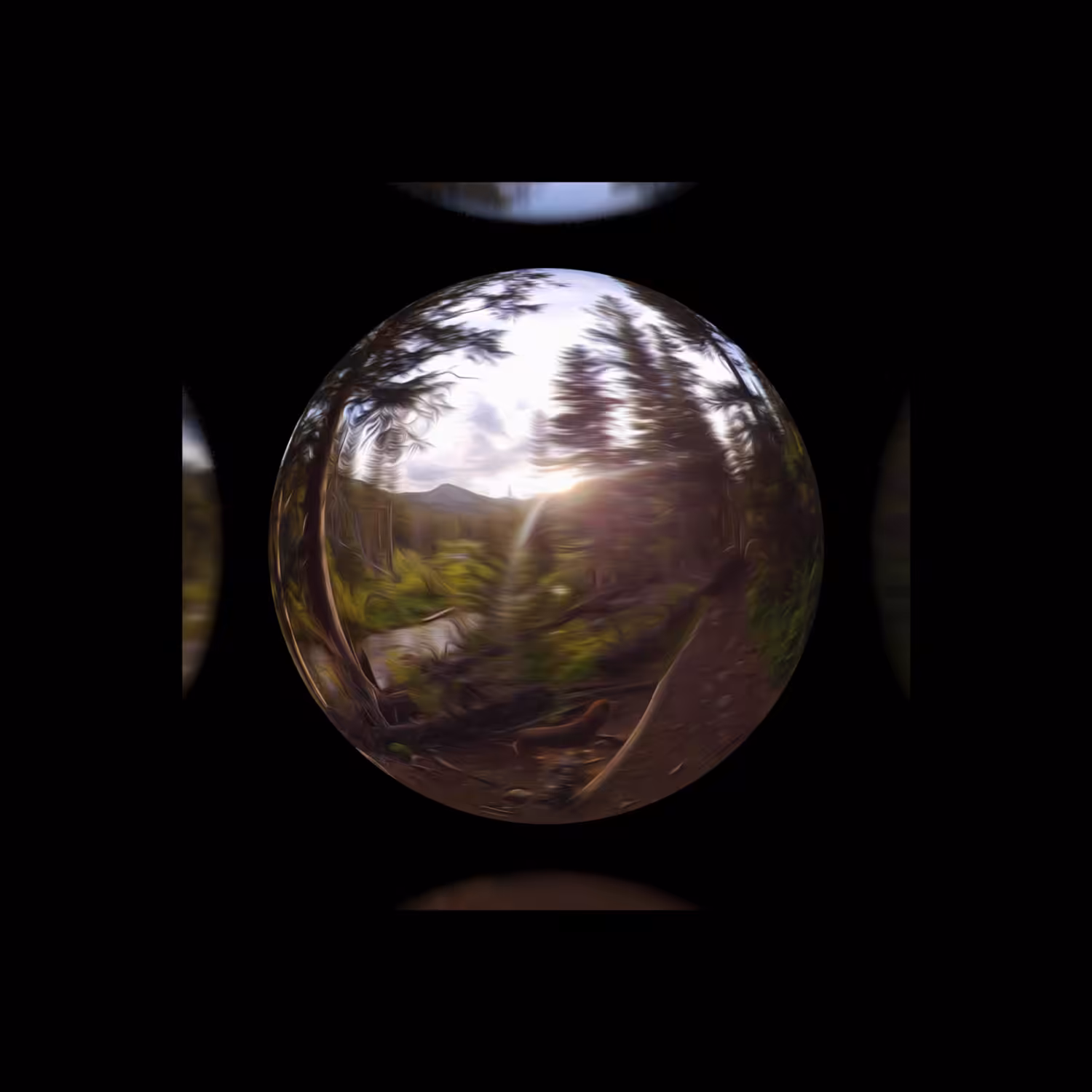 Reflectionz #19