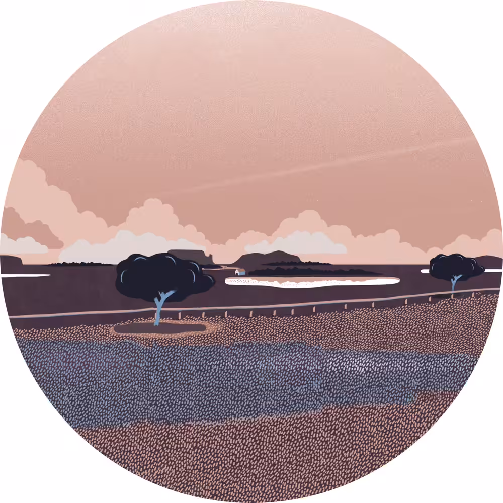 texas landscape