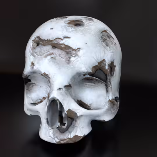 SkullZ #3