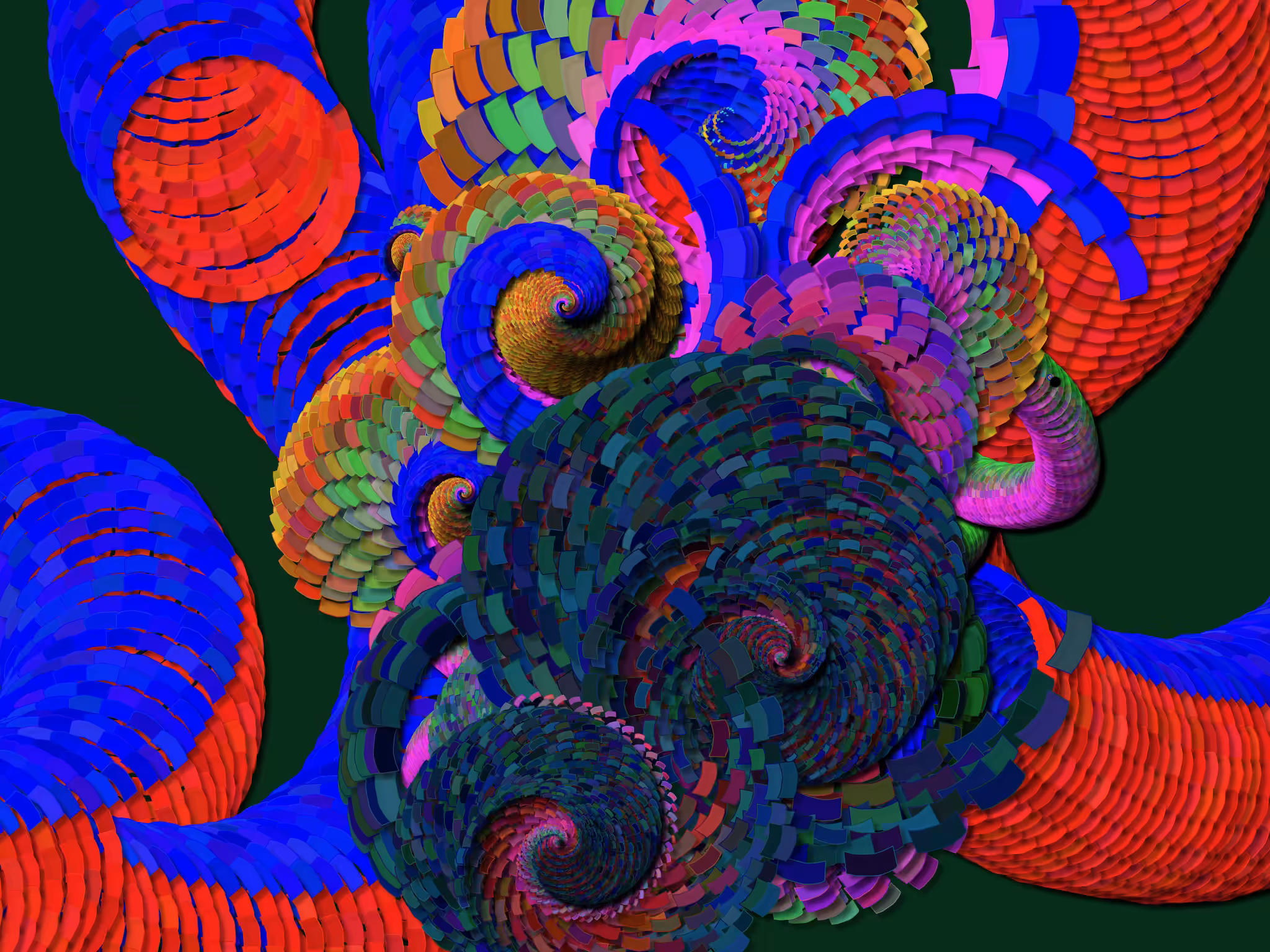 Octopus