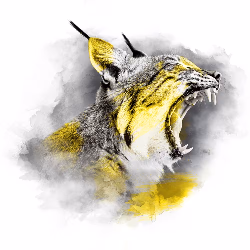 YELLOW SERIES - LYNX