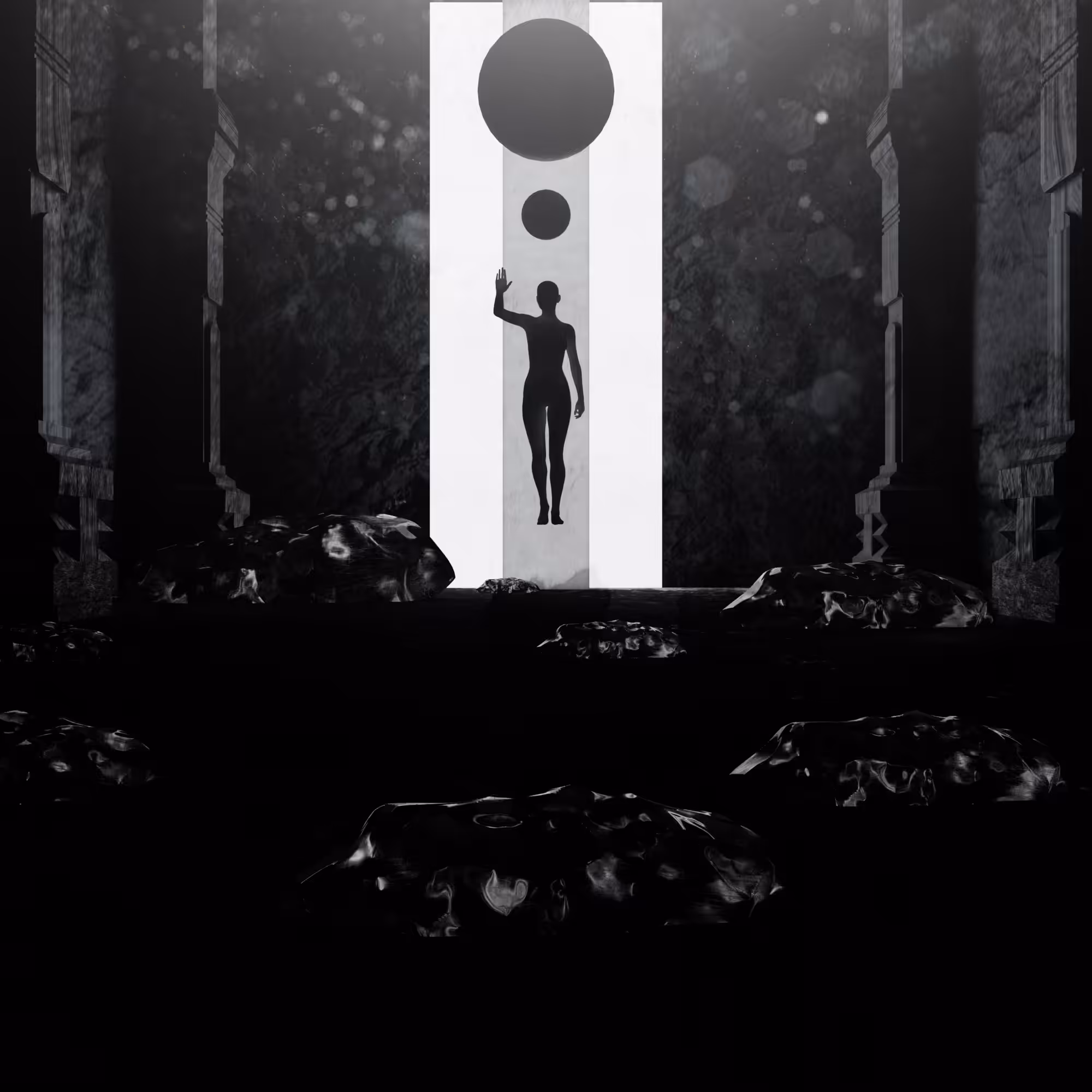 SEED