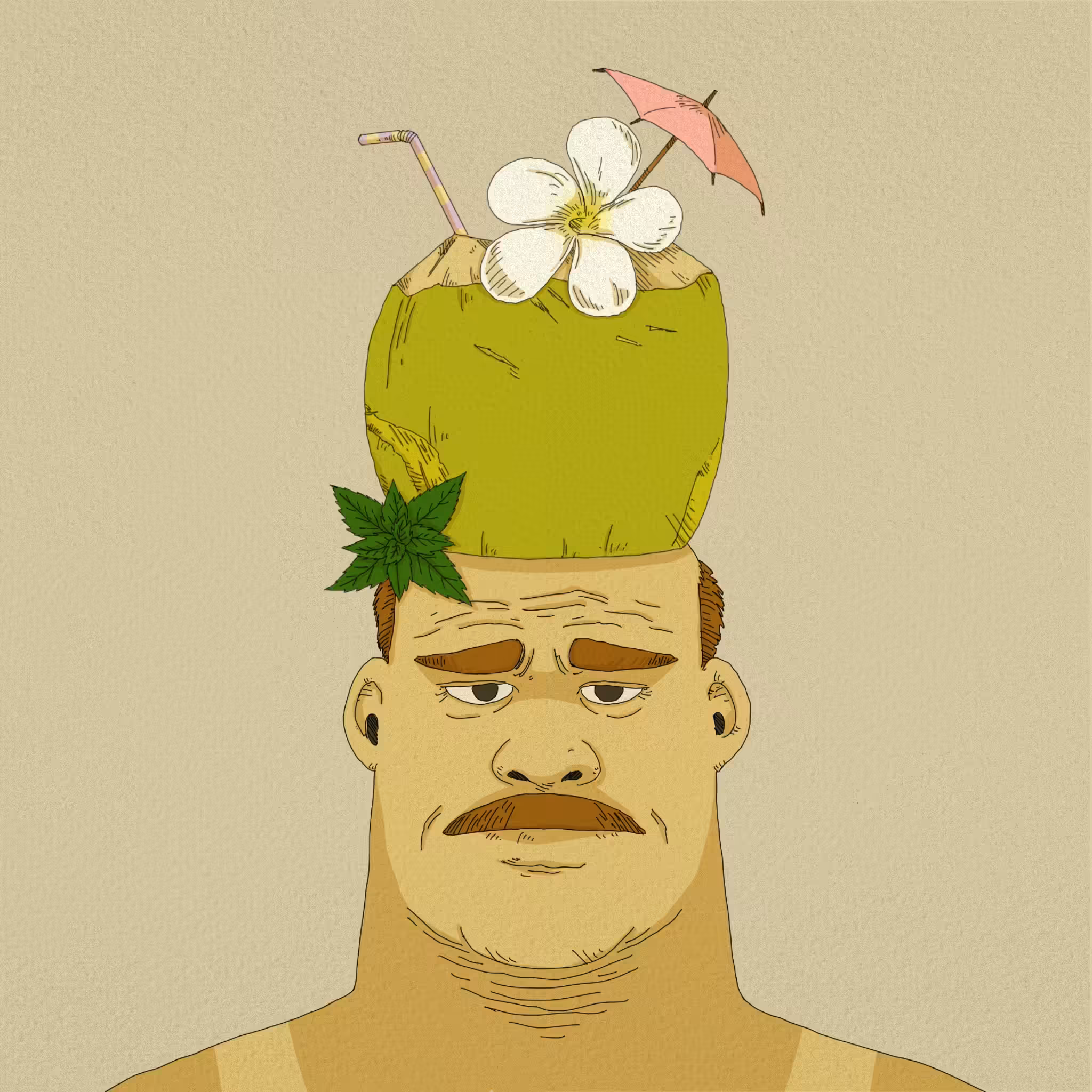 Silly Hat Family #11 - Coconut