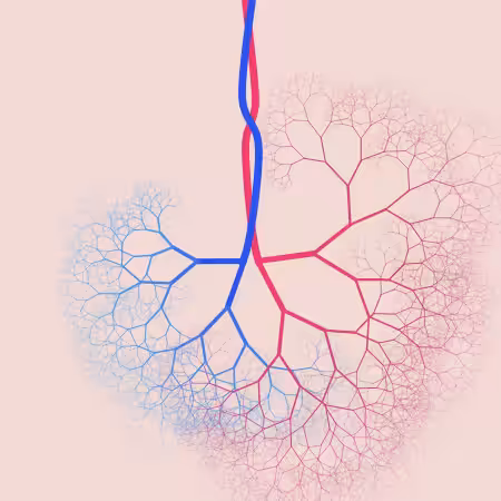 capillary trees #20