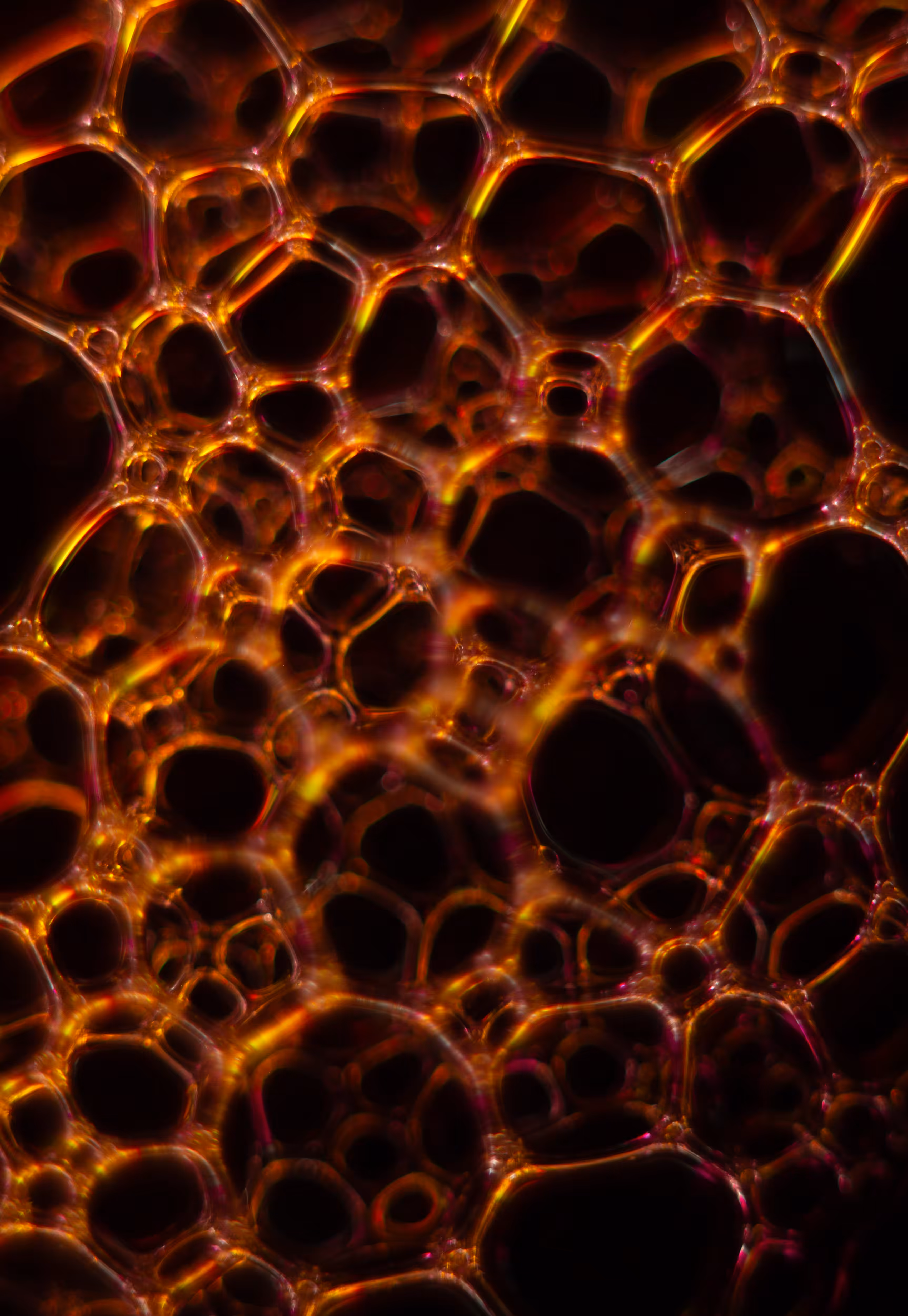 #150 Bubbles