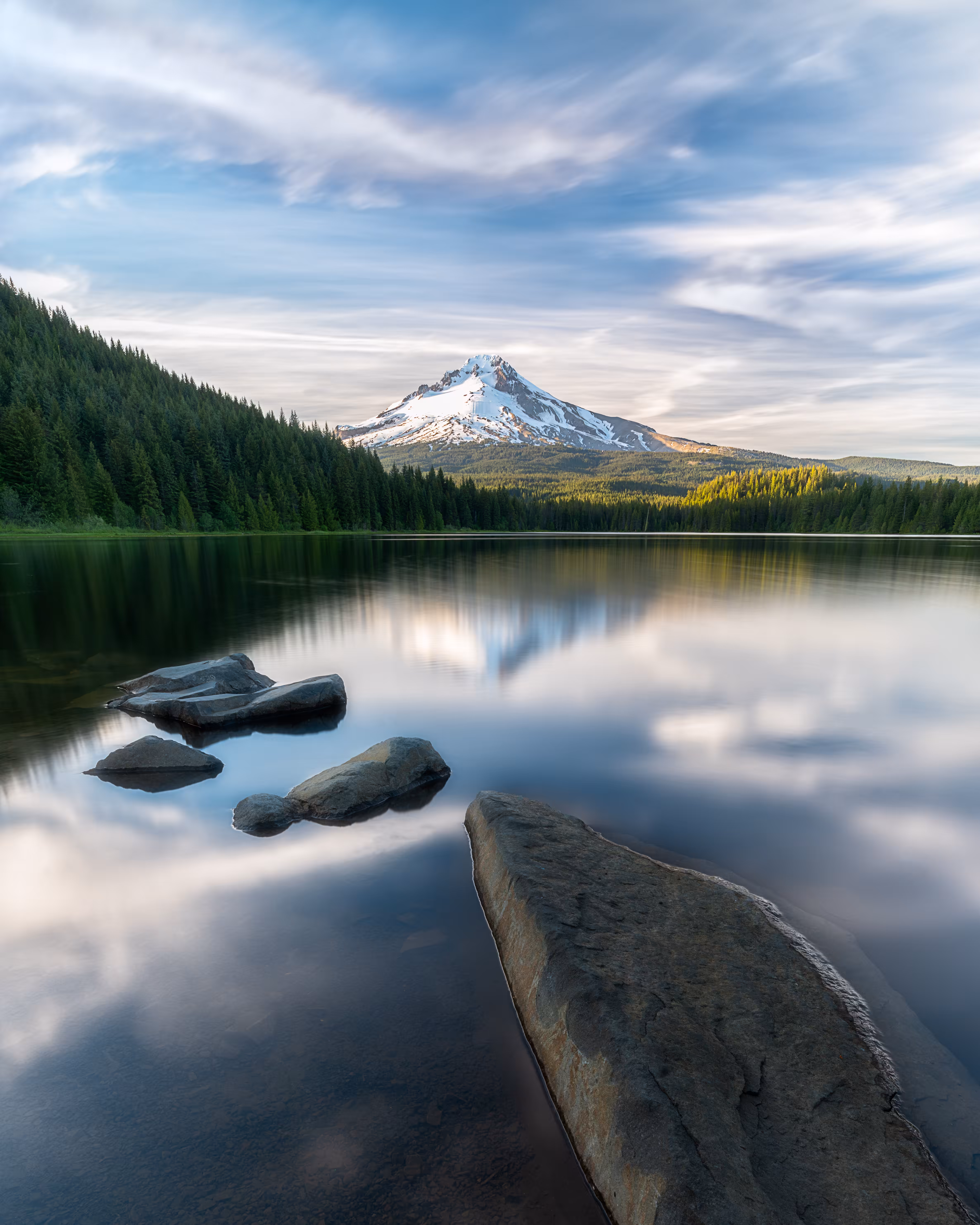 Reflection on Peace