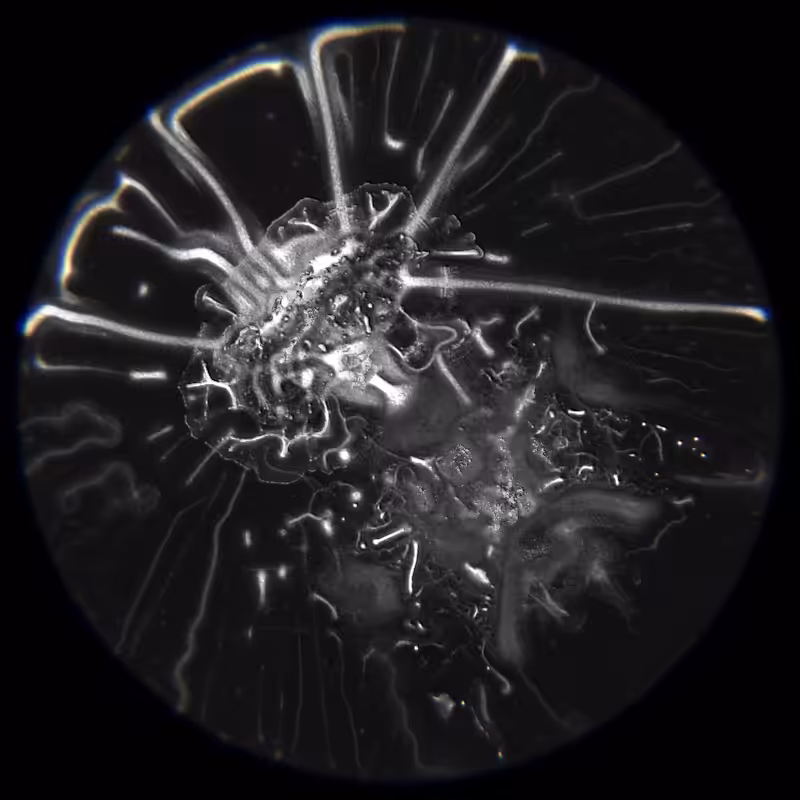 Ethereal Microcosm #194