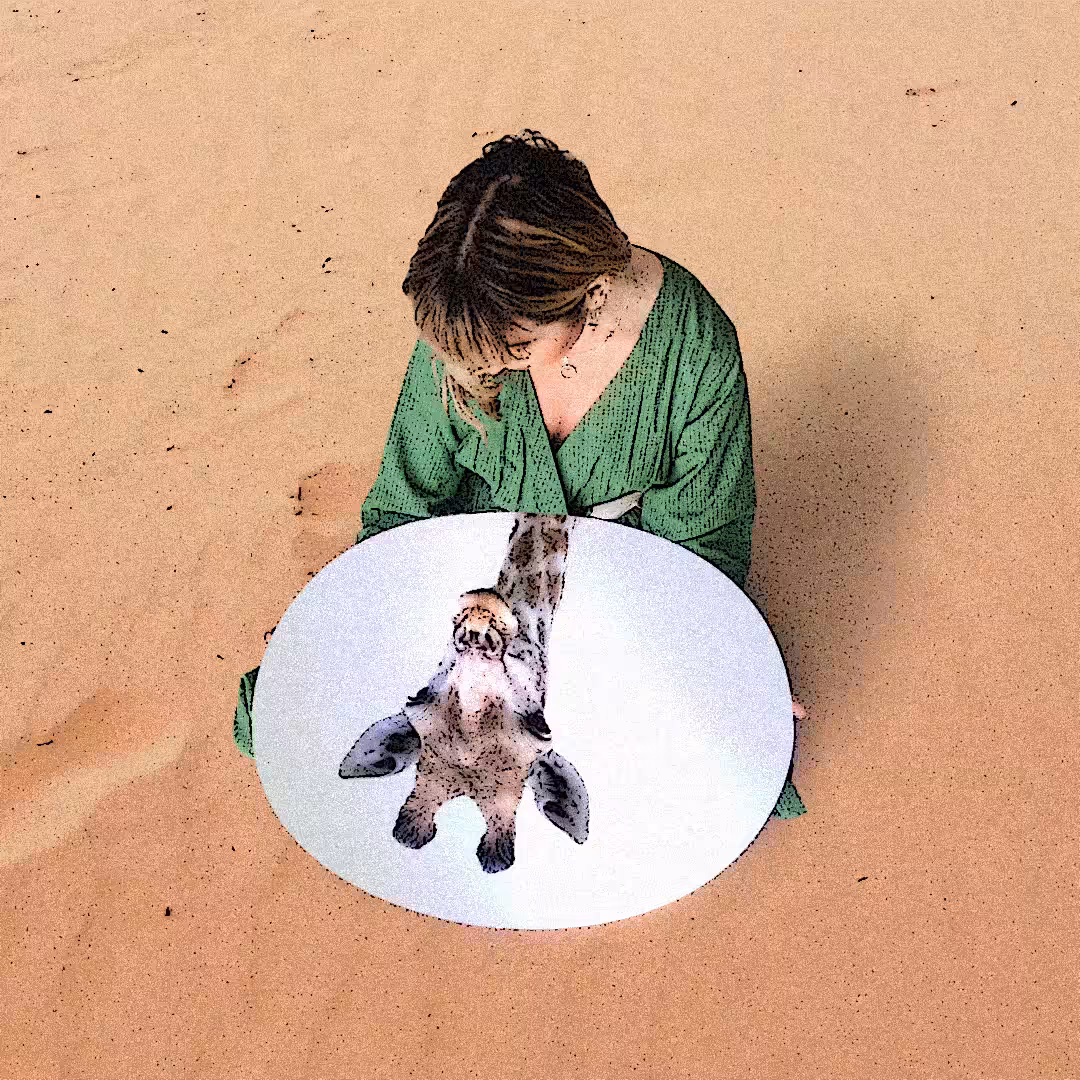 Desert Mirror 1