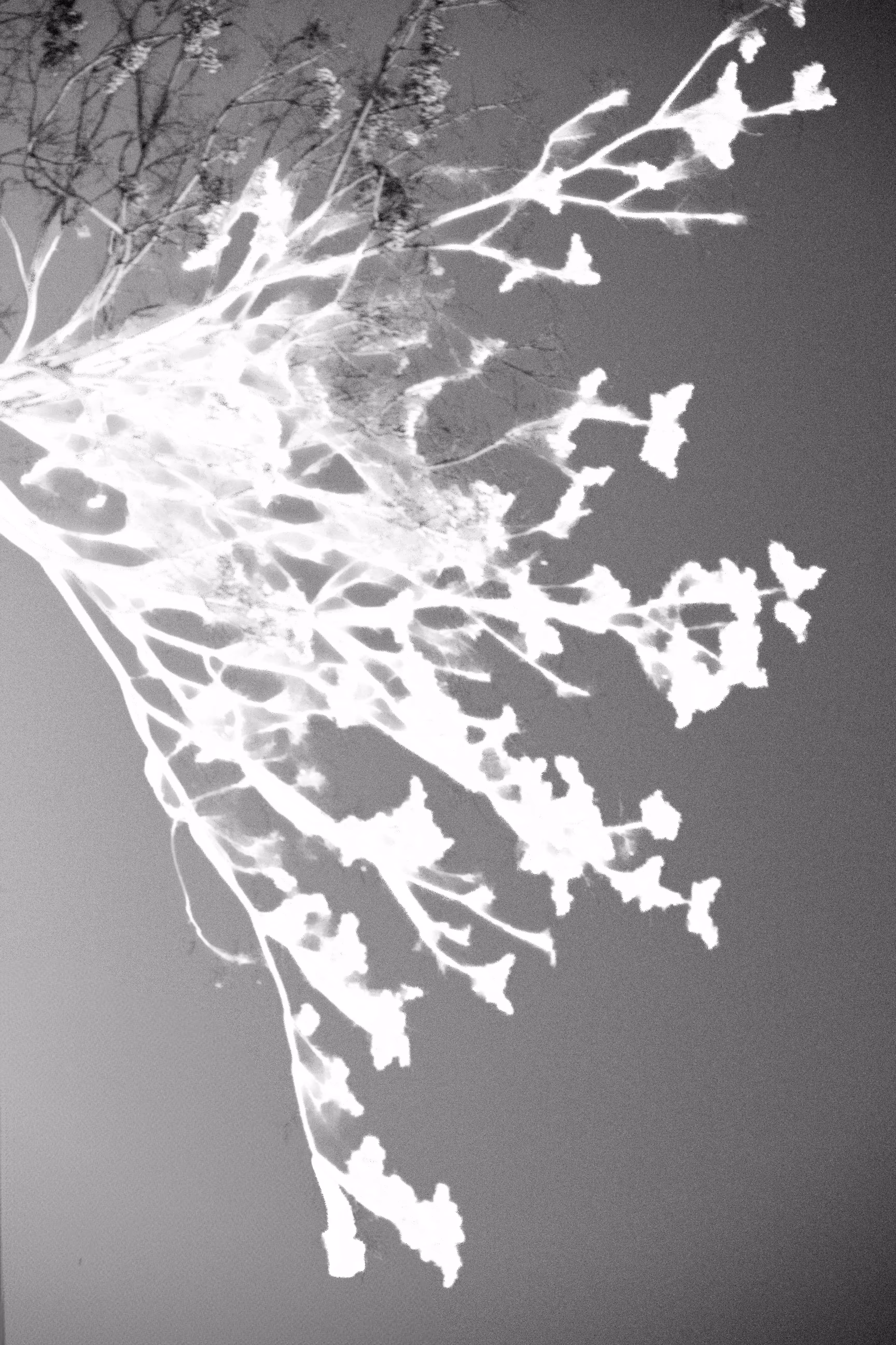 Observation: A Map of Damage