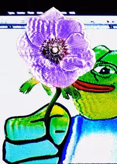 NICEDAYPEPE | Series 18 Card 16