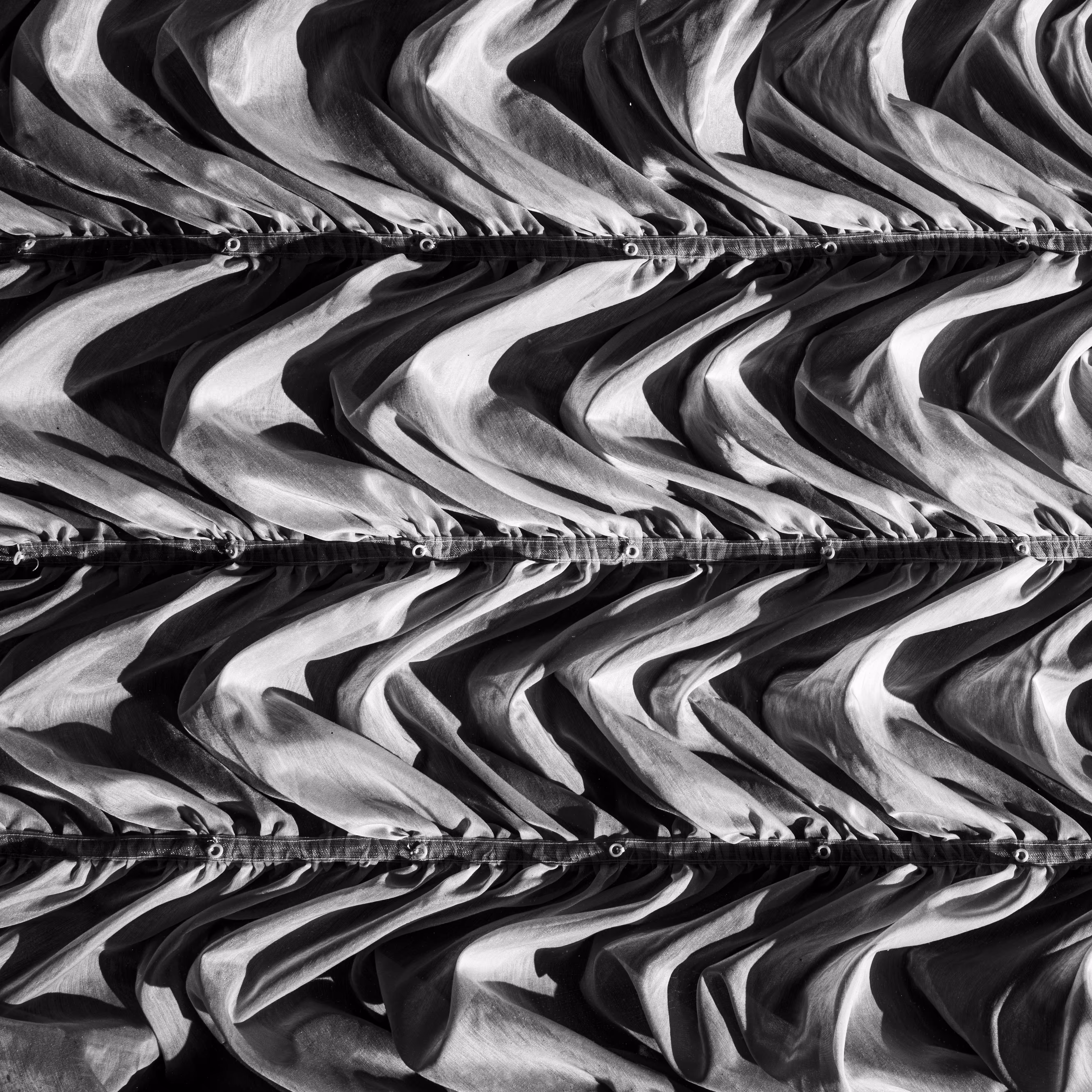 CACHIVACHES (monochrome): CACHIVACHES #34