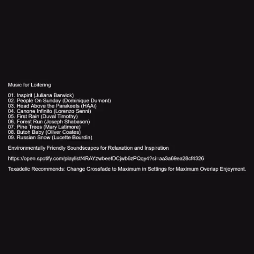 Music for Loitering
...