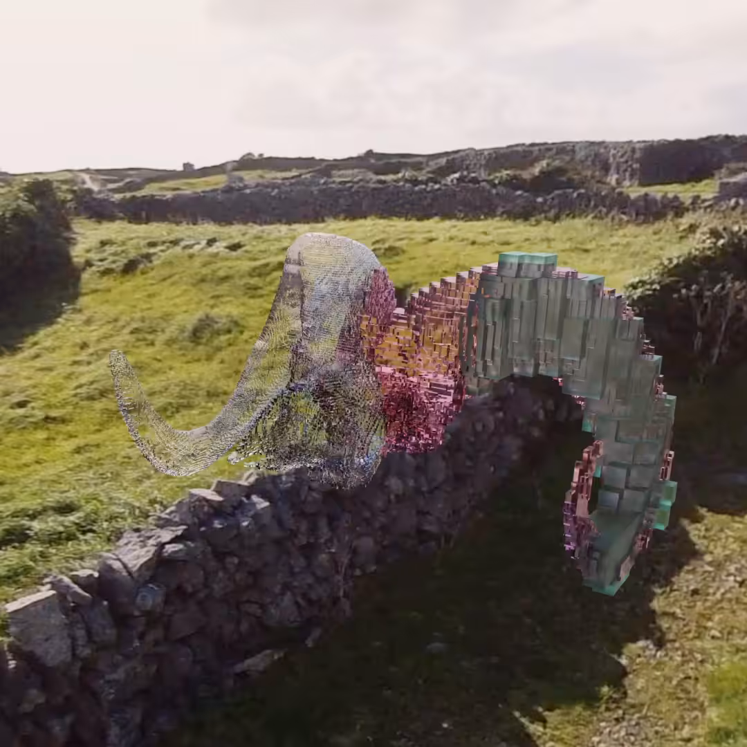 Ram Skull Inis Oirr