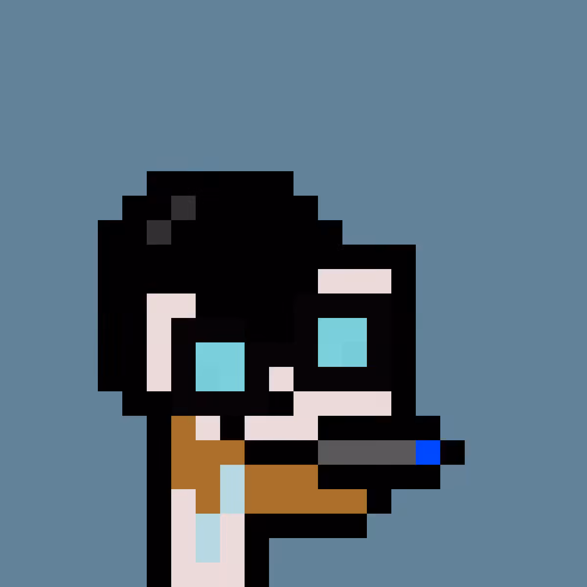 PNUKS #8269