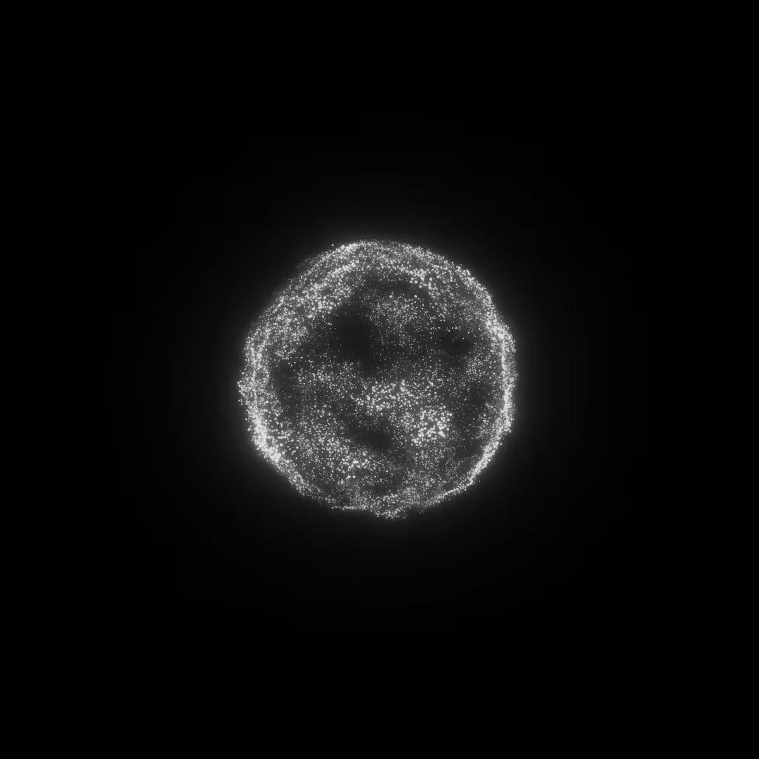1000Particles