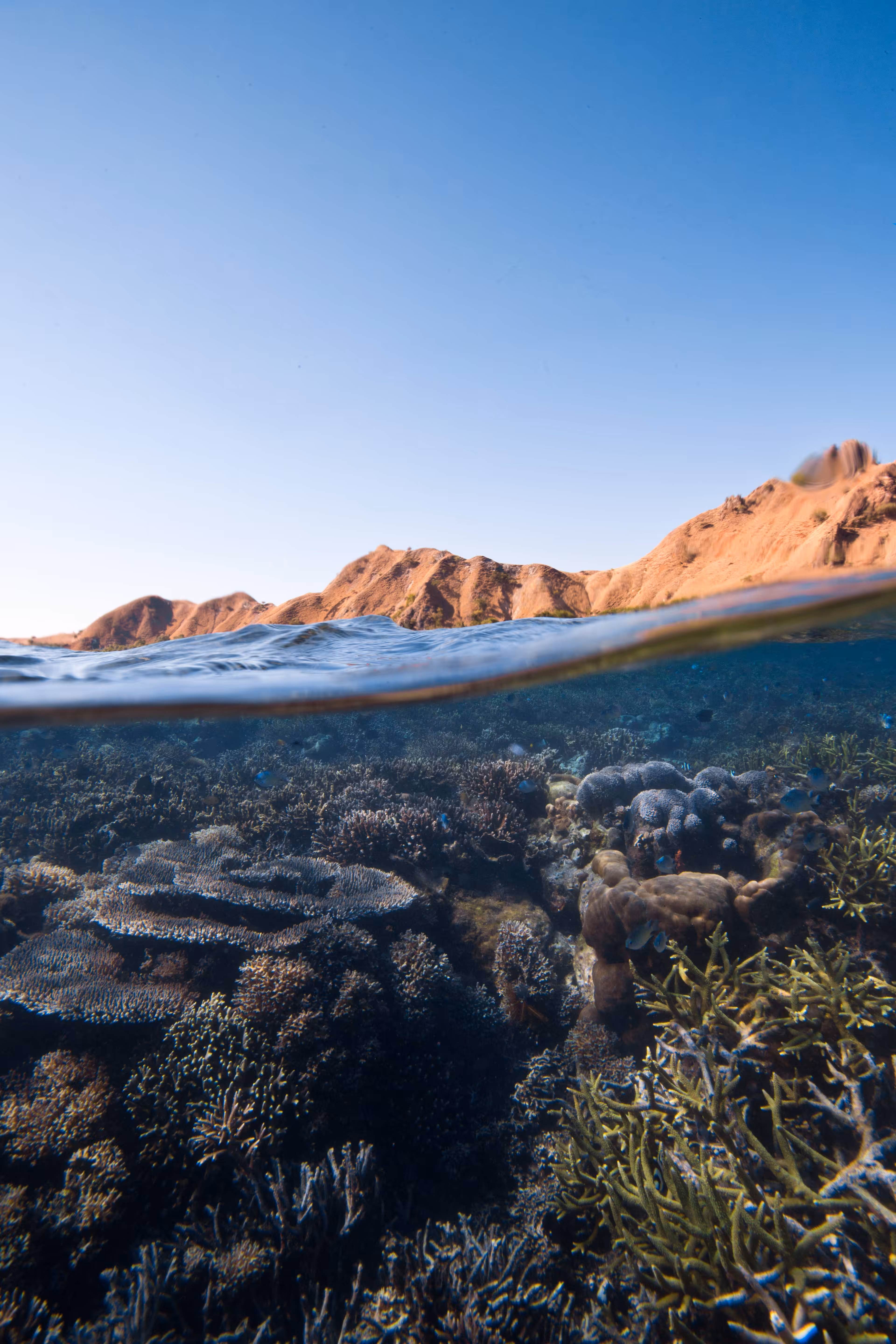 Two Worlds #4 - MOUNTAINS & CORALS