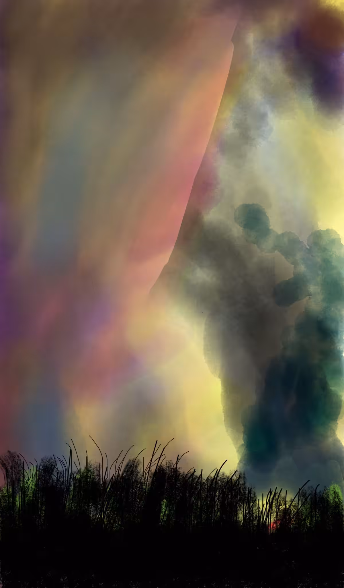 My cousin Tariel's Arts