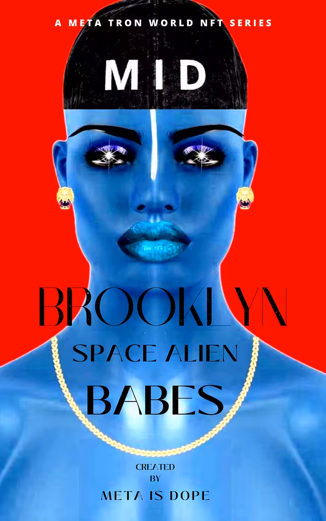BROOKLYN SPACE ALIEN BABES BOOK