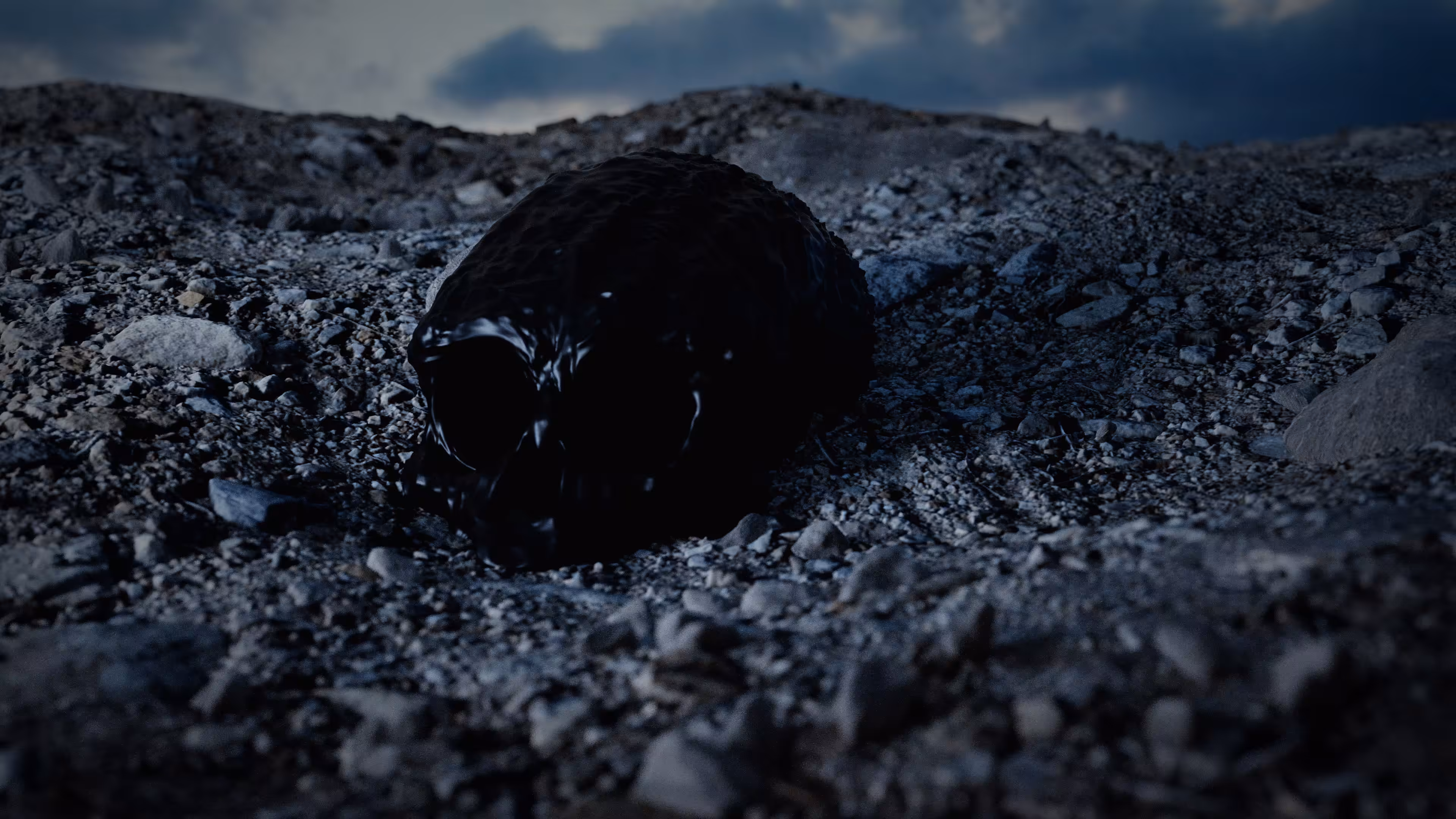 Skull on the ground
