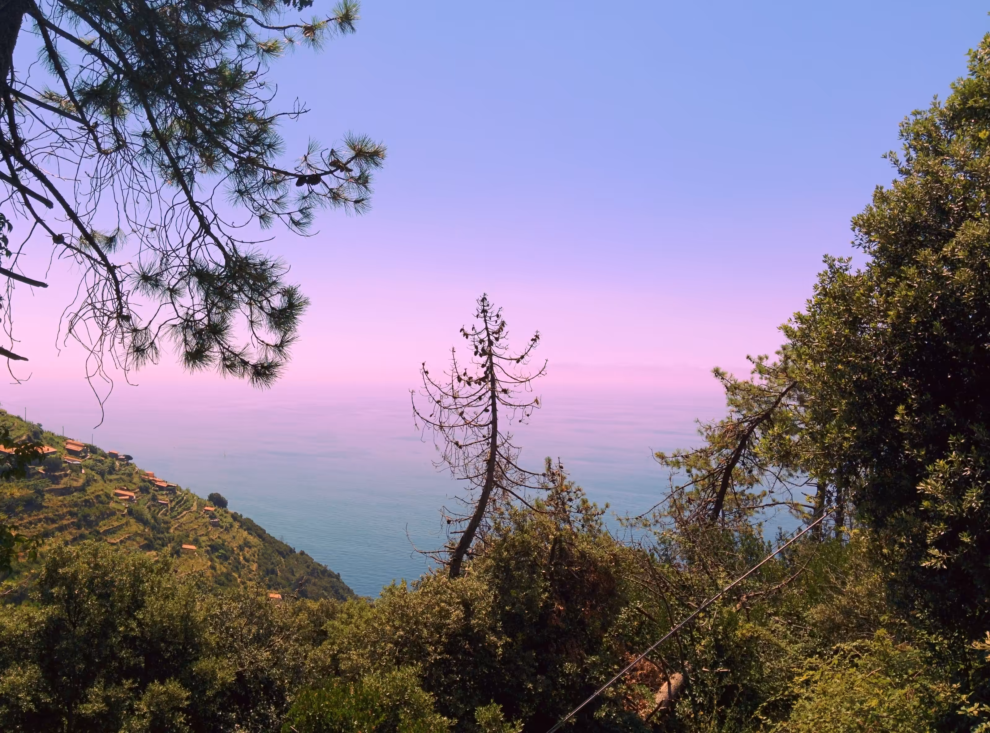 The Hills of Liguria