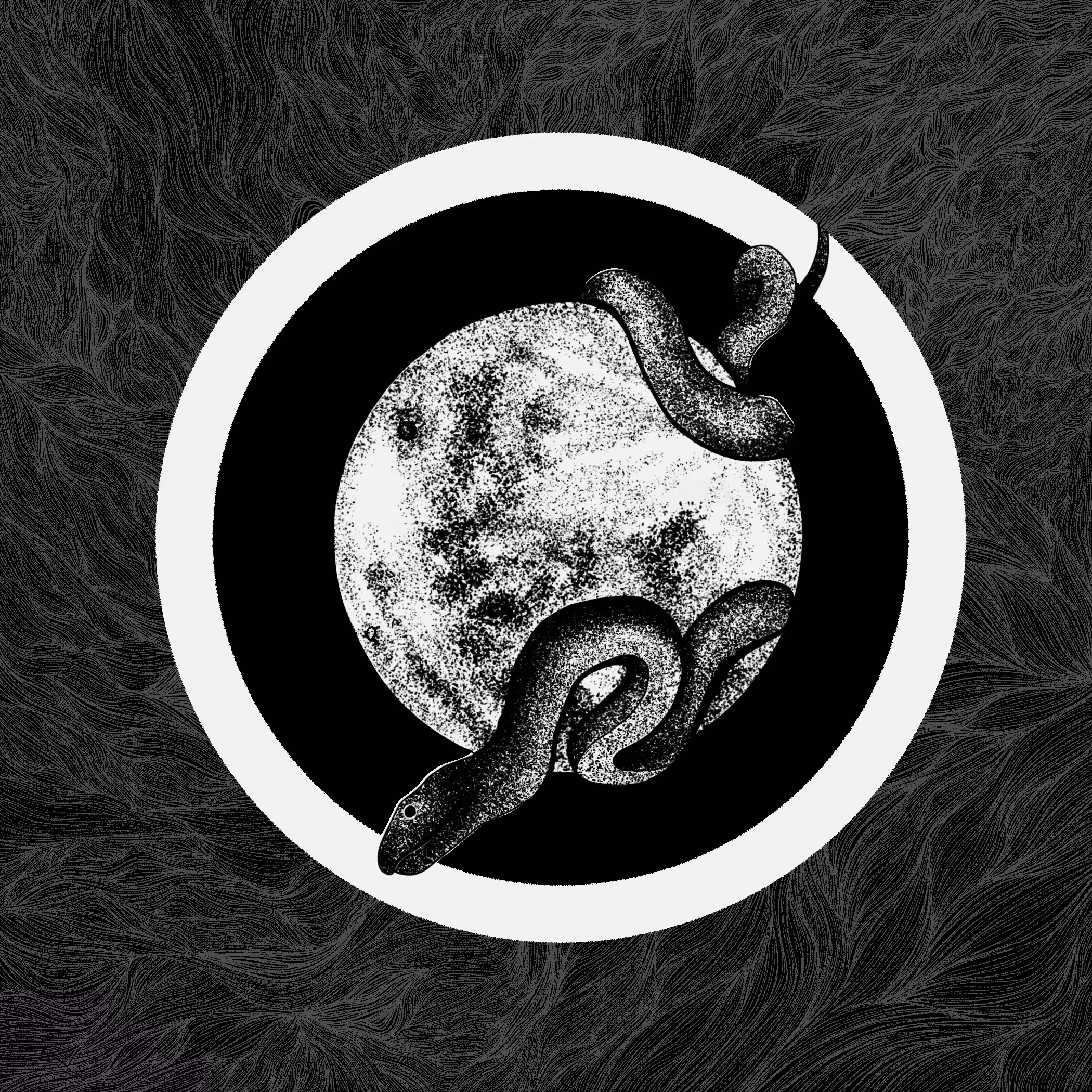 dark side of the Luna